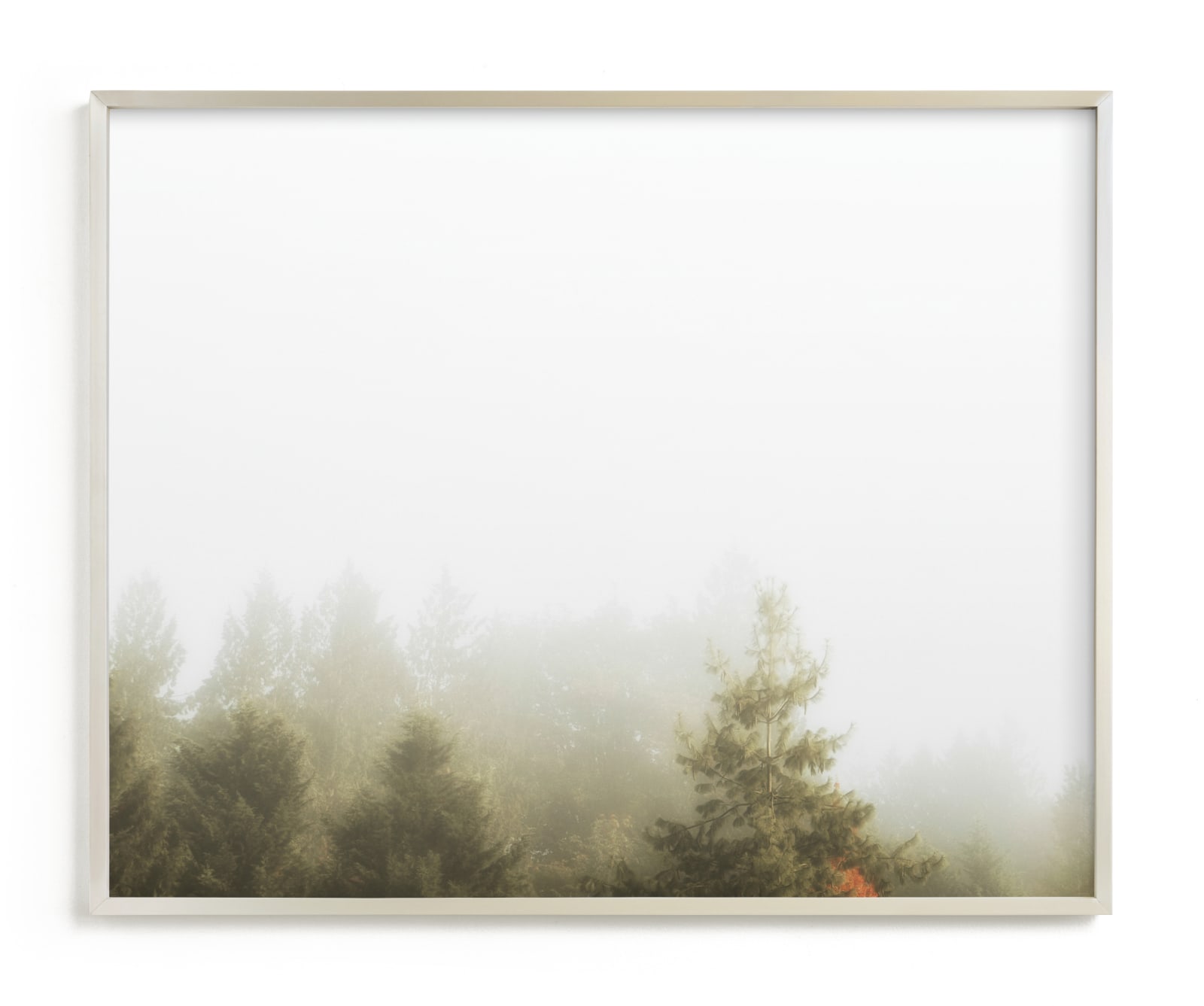 "Foggy Autumn Forest Morning" - Limited Edition Art Print by Katie Buckman in beautiful frame options and a variety of sizes.