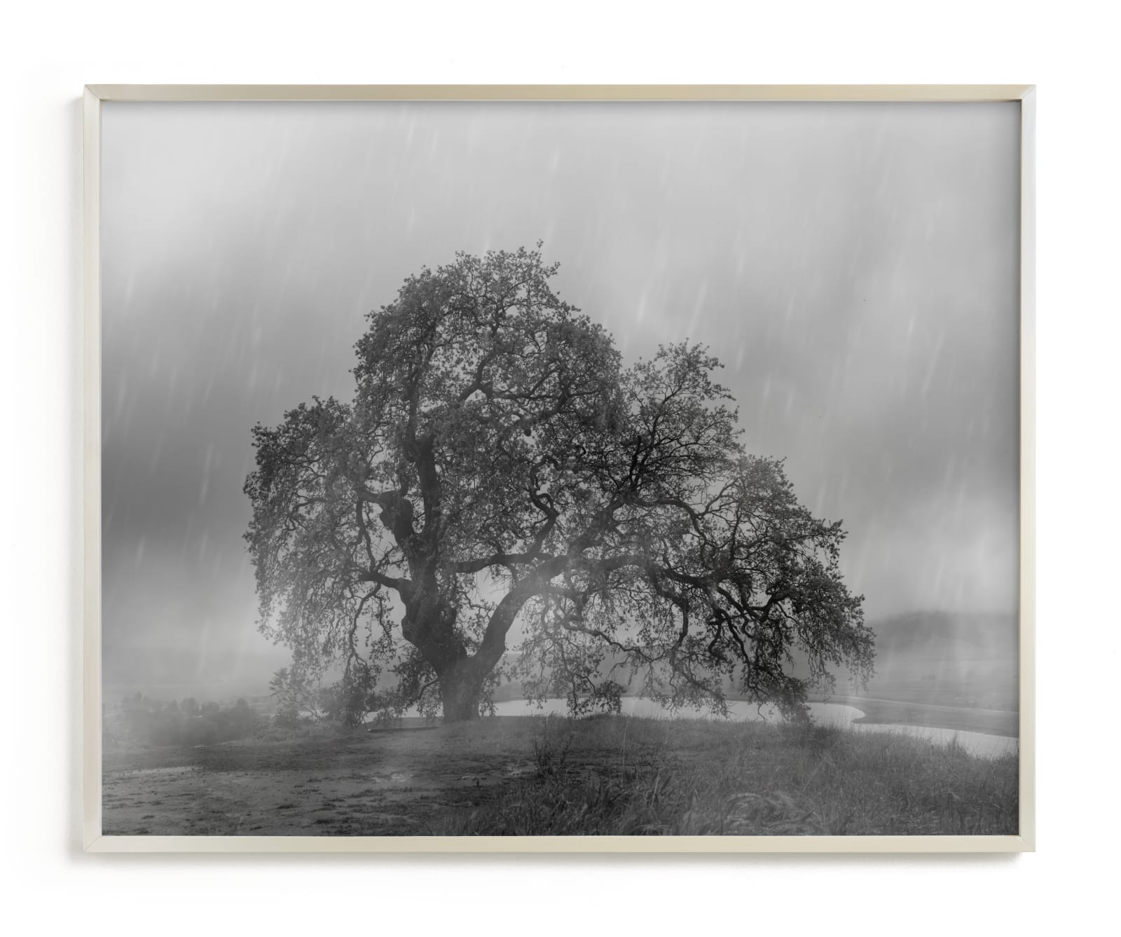 "in the rain" - Limited Edition Art Print by Crystal Lynn Collins in beautiful frame options and a variety of sizes.