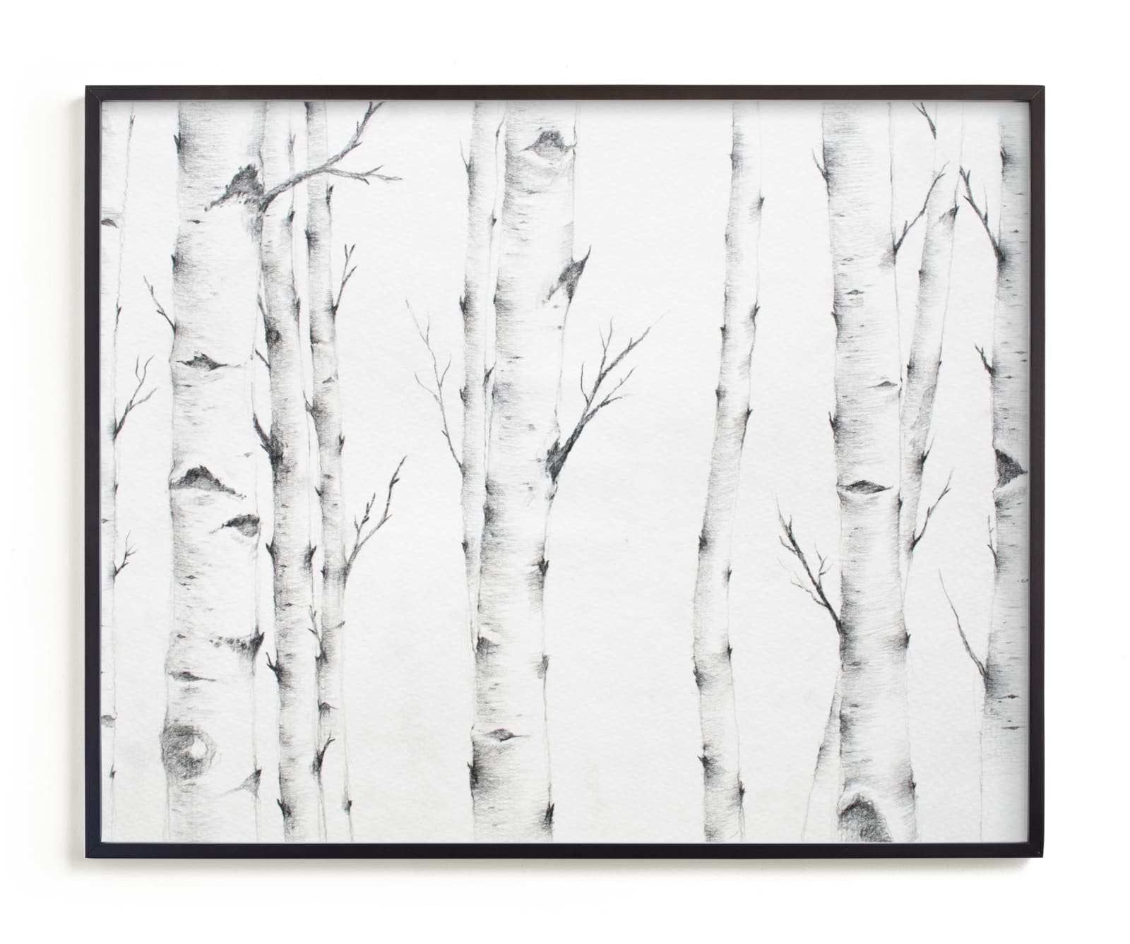 "Birch Story" - Limited Edition Art Print by jinseikou in beautiful frame options and a variety of sizes.