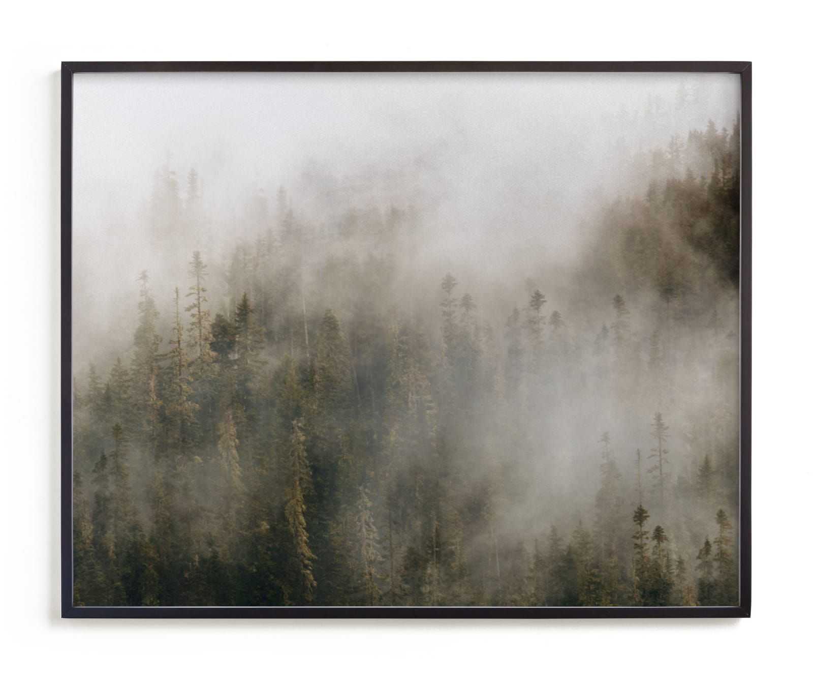 "Pacific North Fog" - Limited Edition Art Print by Pockets of Film in beautiful frame options and a variety of sizes.