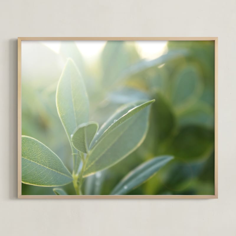 "Morning Sparkle" by Karen Kaul in beautiful frame options and a variety of sizes.