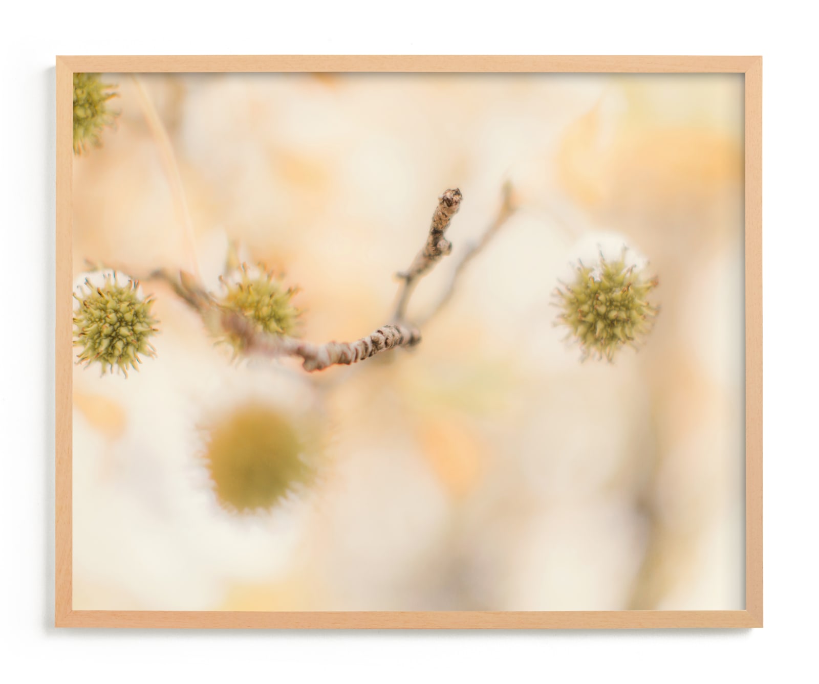 "under the sweetgum tree" by Alicia Abla in beautiful frame options and a variety of sizes.