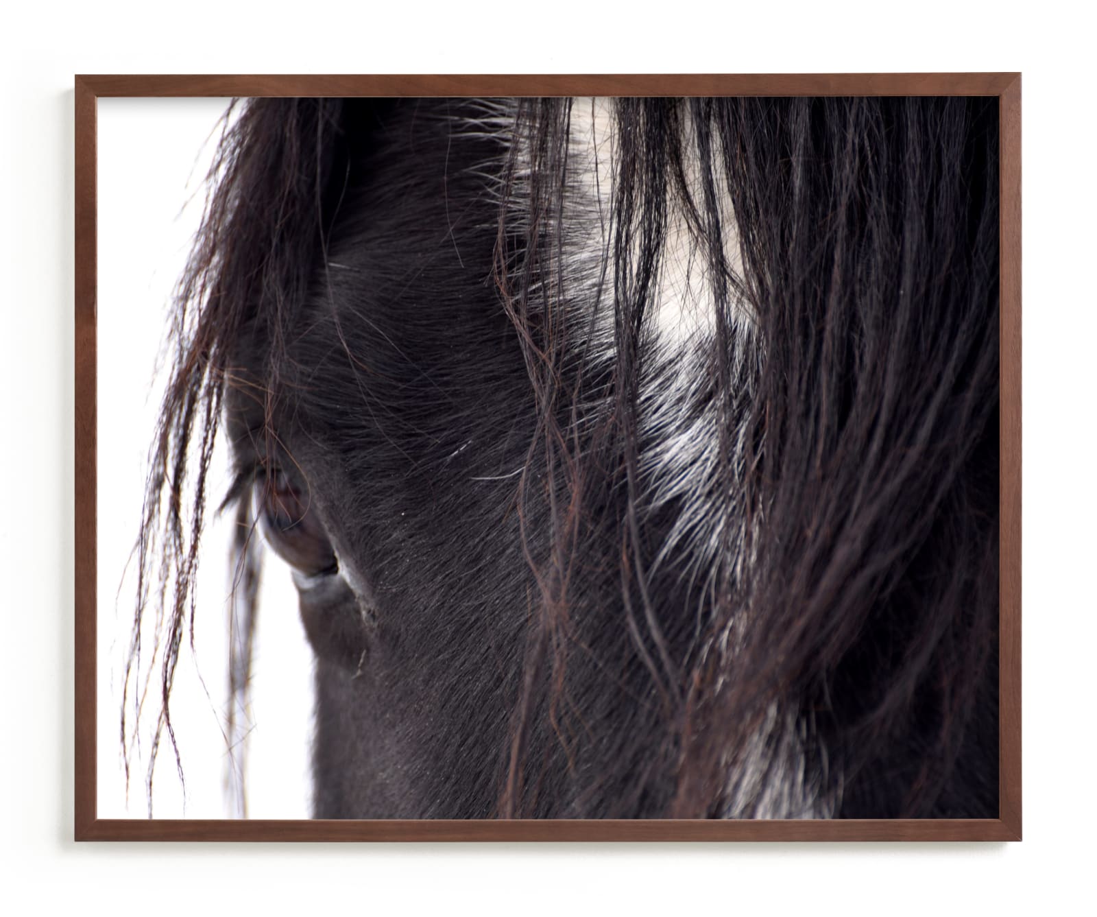 "Bucker" - Limited Edition Art Print by Leslie Le Coq in beautiful frame options and a variety of sizes.