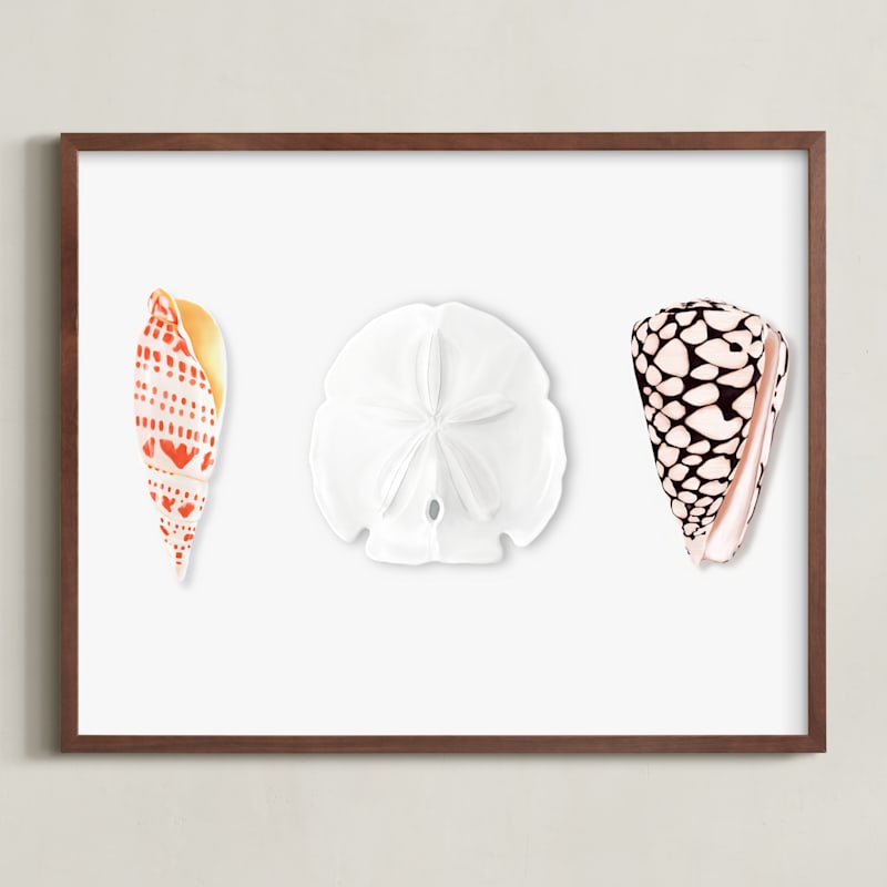 "Shell Collection" by Artsy Canvas Girl Designs in beautiful frame options and a variety of sizes.