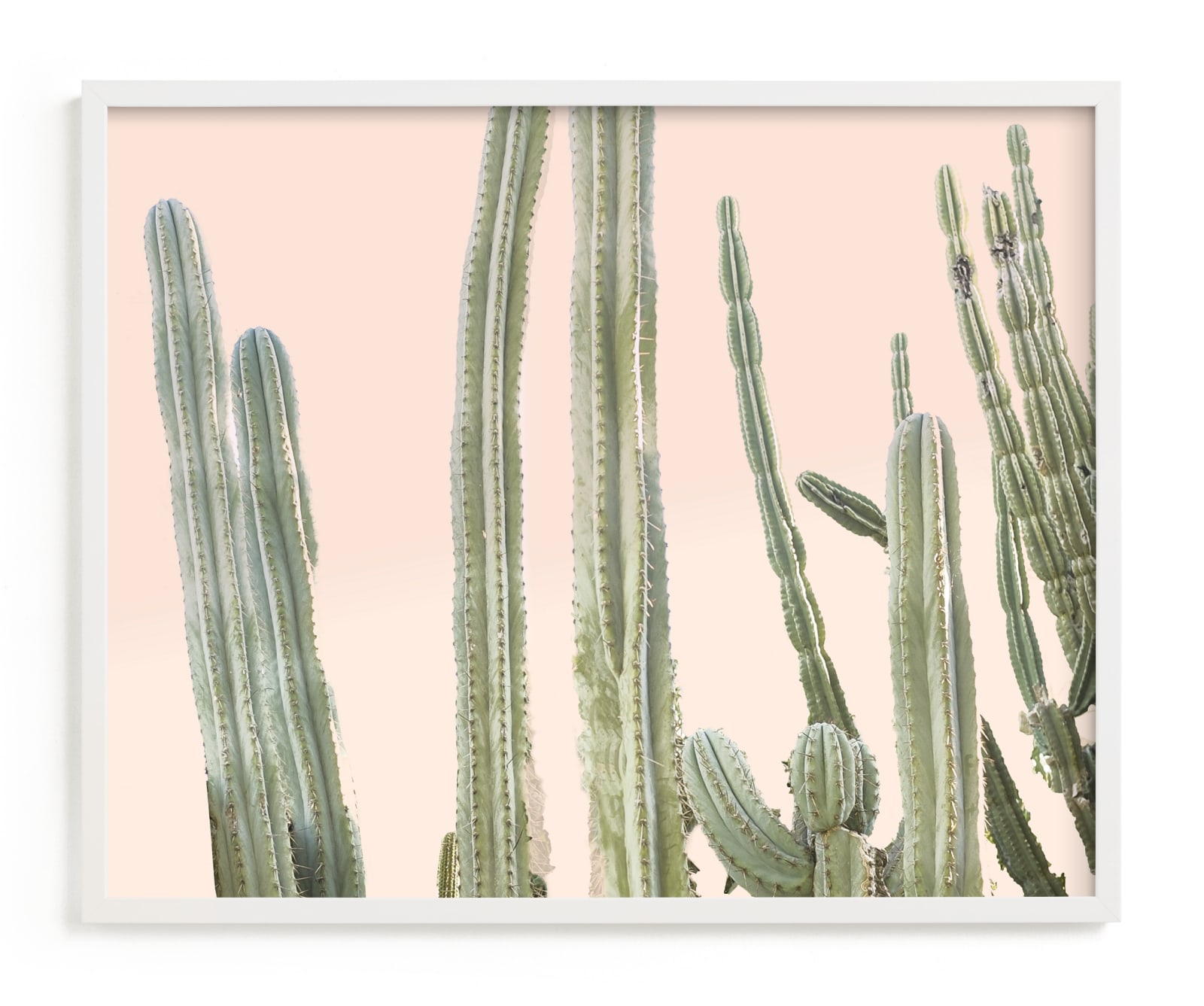 "Peachy Cactus Print" - Limited Edition Art Print by Wilder California in beautiful frame options and a variety of sizes.