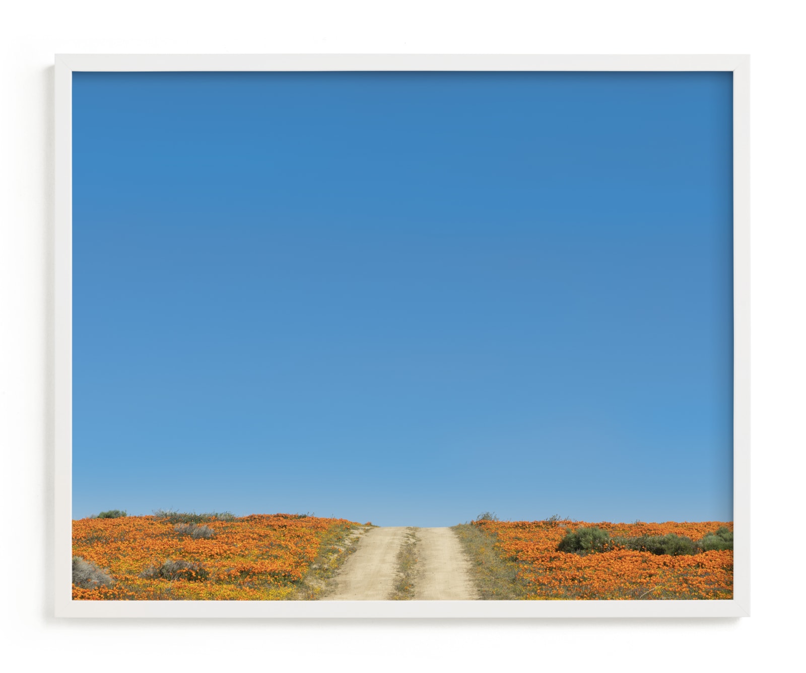 "POPPY LANE" - Limited Edition Art Print by Denise Crew in beautiful frame options and a variety of sizes.