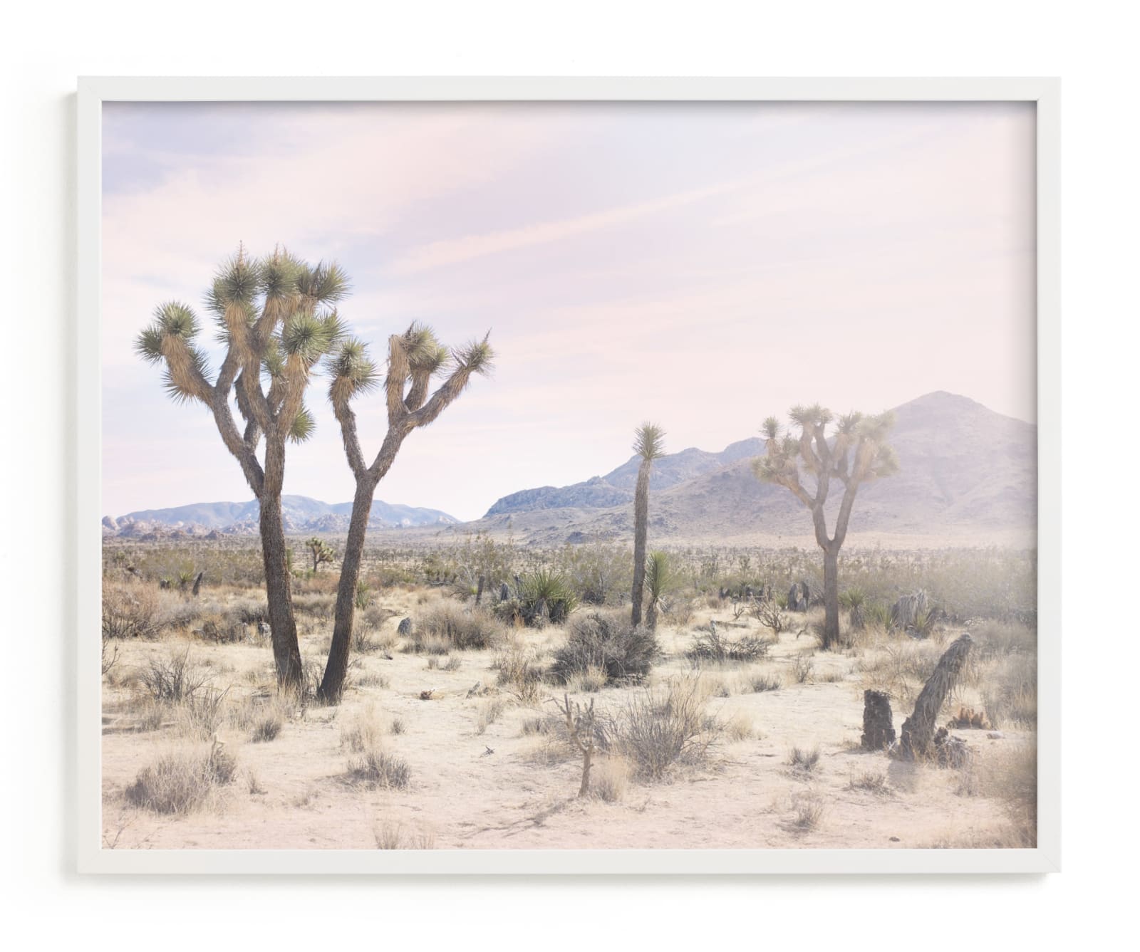 "Joshua Tree No. 10" - Limited Edition Art Print by Wilder California in beautiful frame options and a variety of sizes.