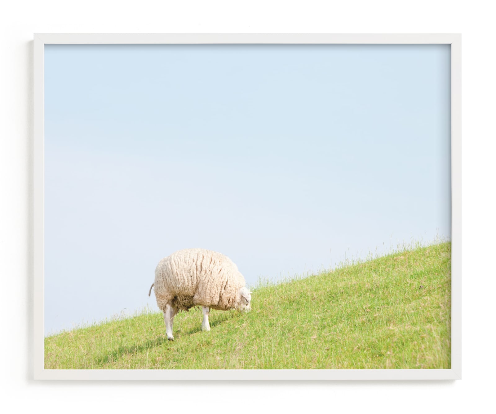 "Sheep at Lunch" - Limited Edition Art Print by Alexandra Feo in beautiful frame options and a variety of sizes.