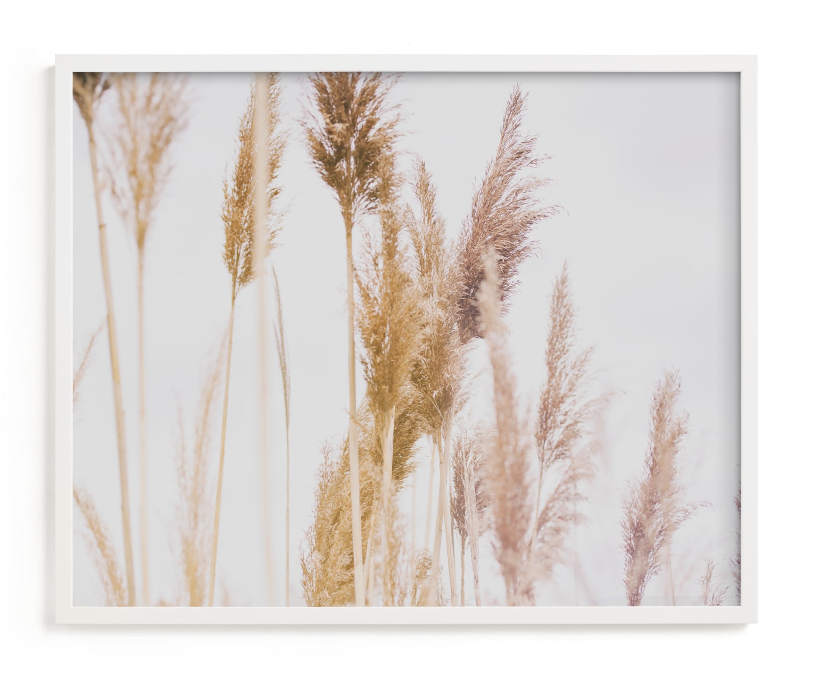"Tall Grass" - Limited Edition Art Print by Alexis Arnold in beautiful frame options and a variety of sizes.