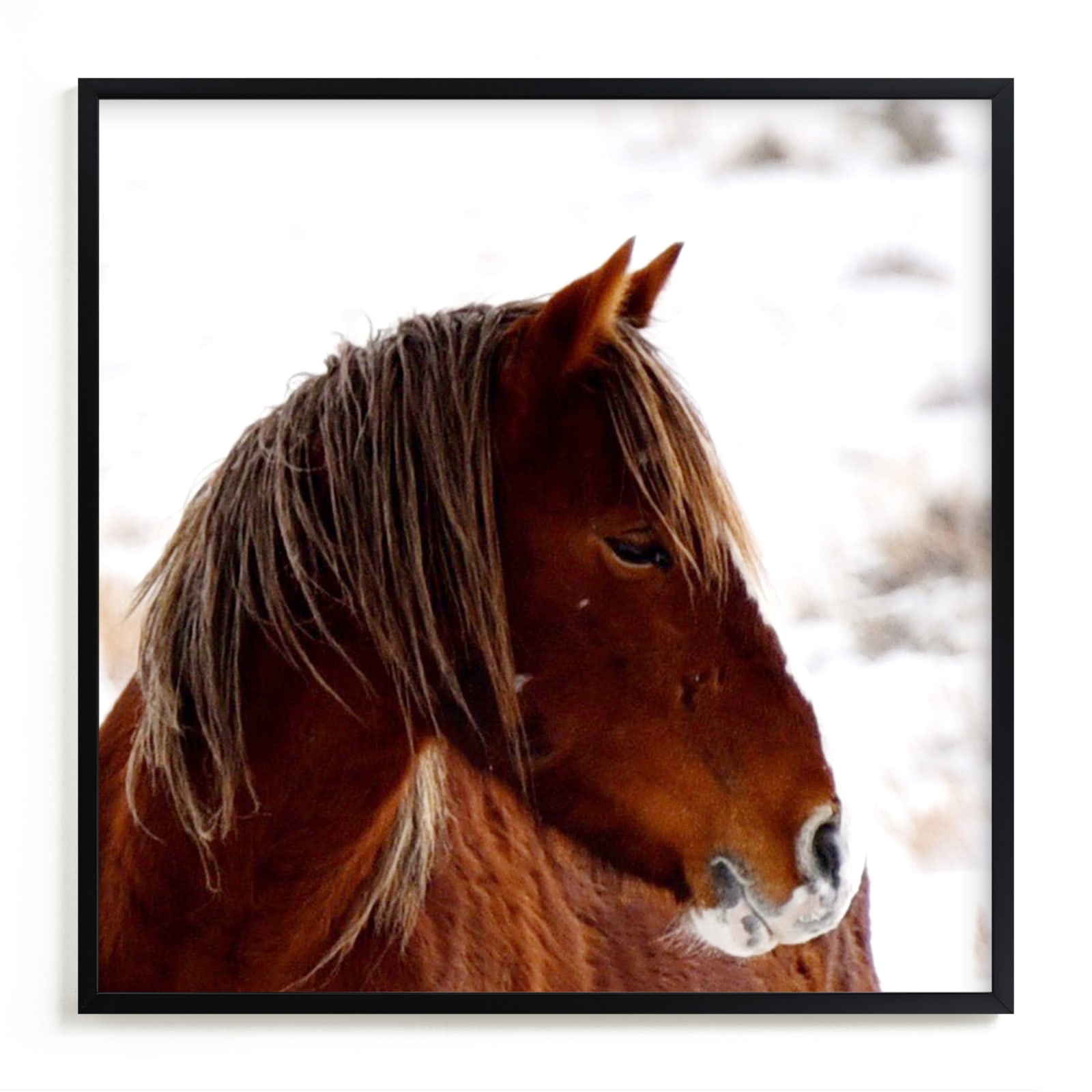 "Just Waiting" - Art Print by Leslie Le Coq in beautiful frame options and a variety of sizes.