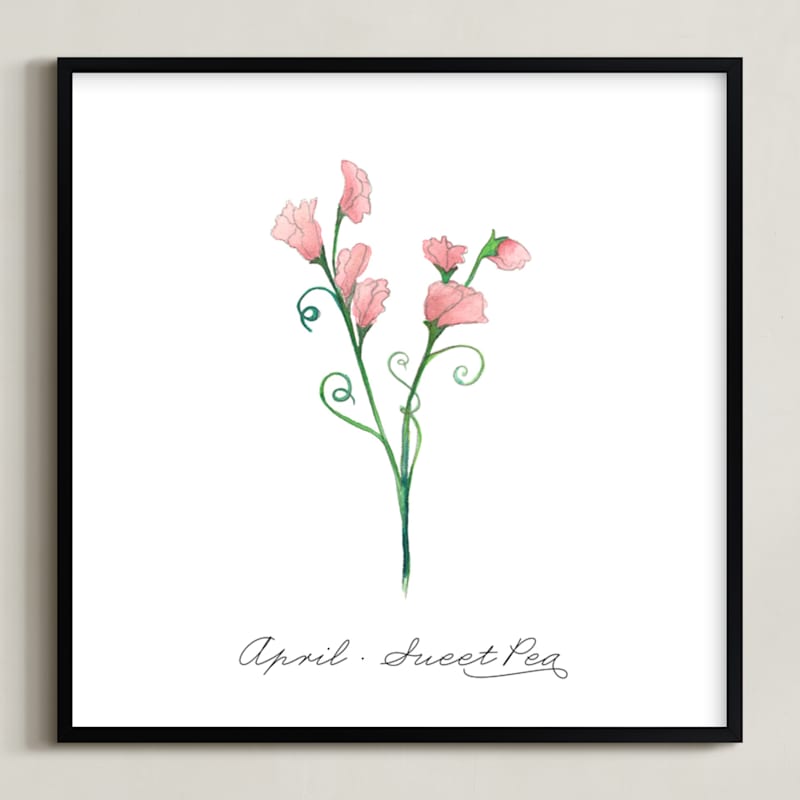 April Sweet Pea