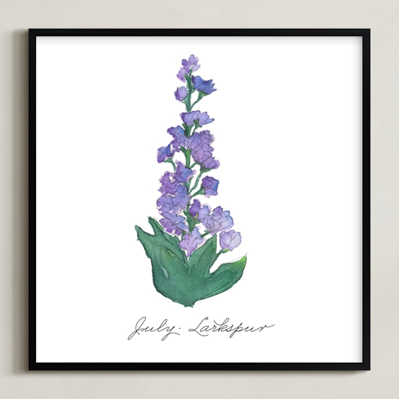 July Larkspur