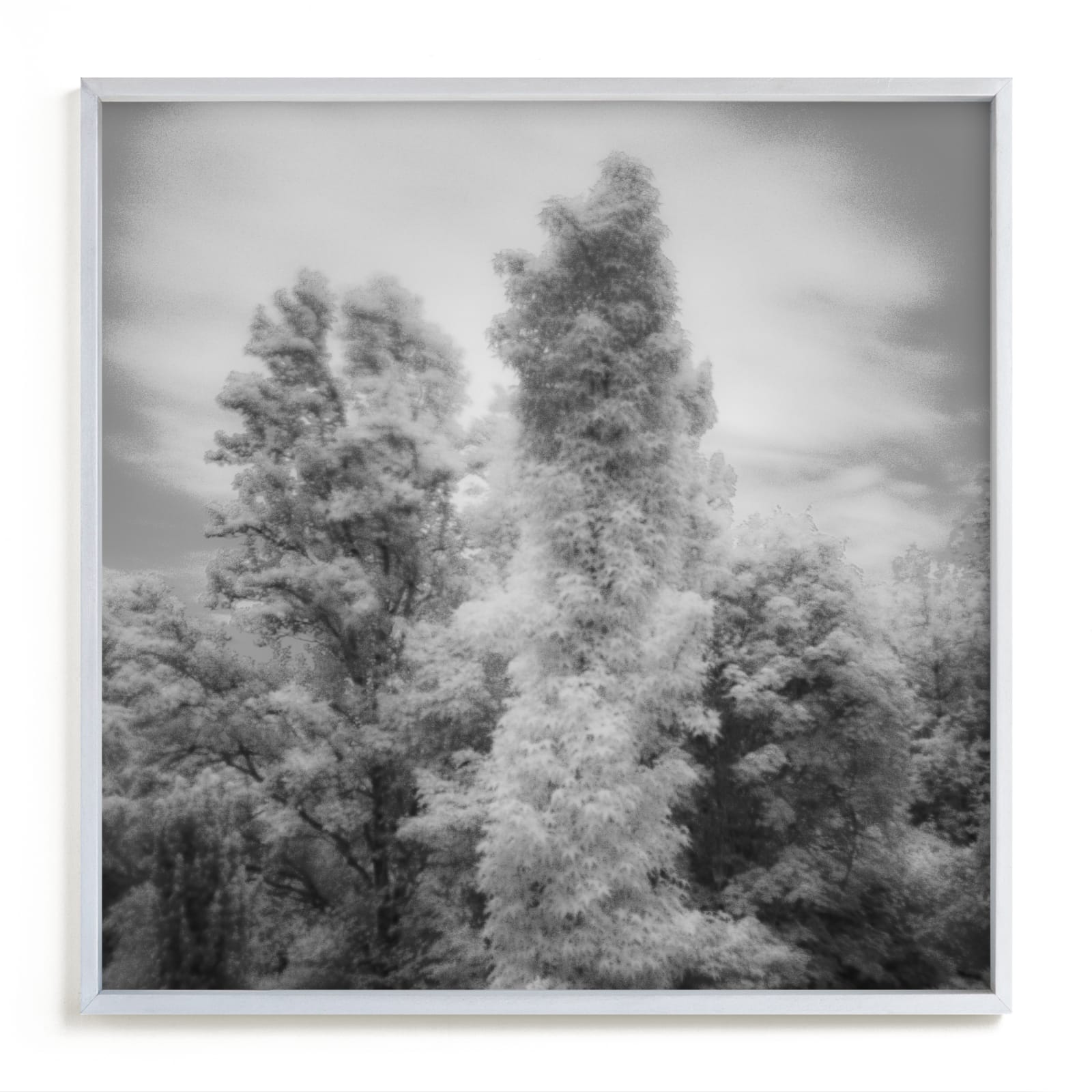 "InfraBotanical" - Limited Edition Art Print by Jeff Preuss in beautiful frame options and a variety of sizes.