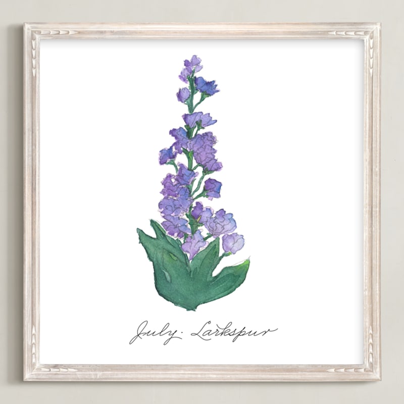 July Larkspur by Liz Conley