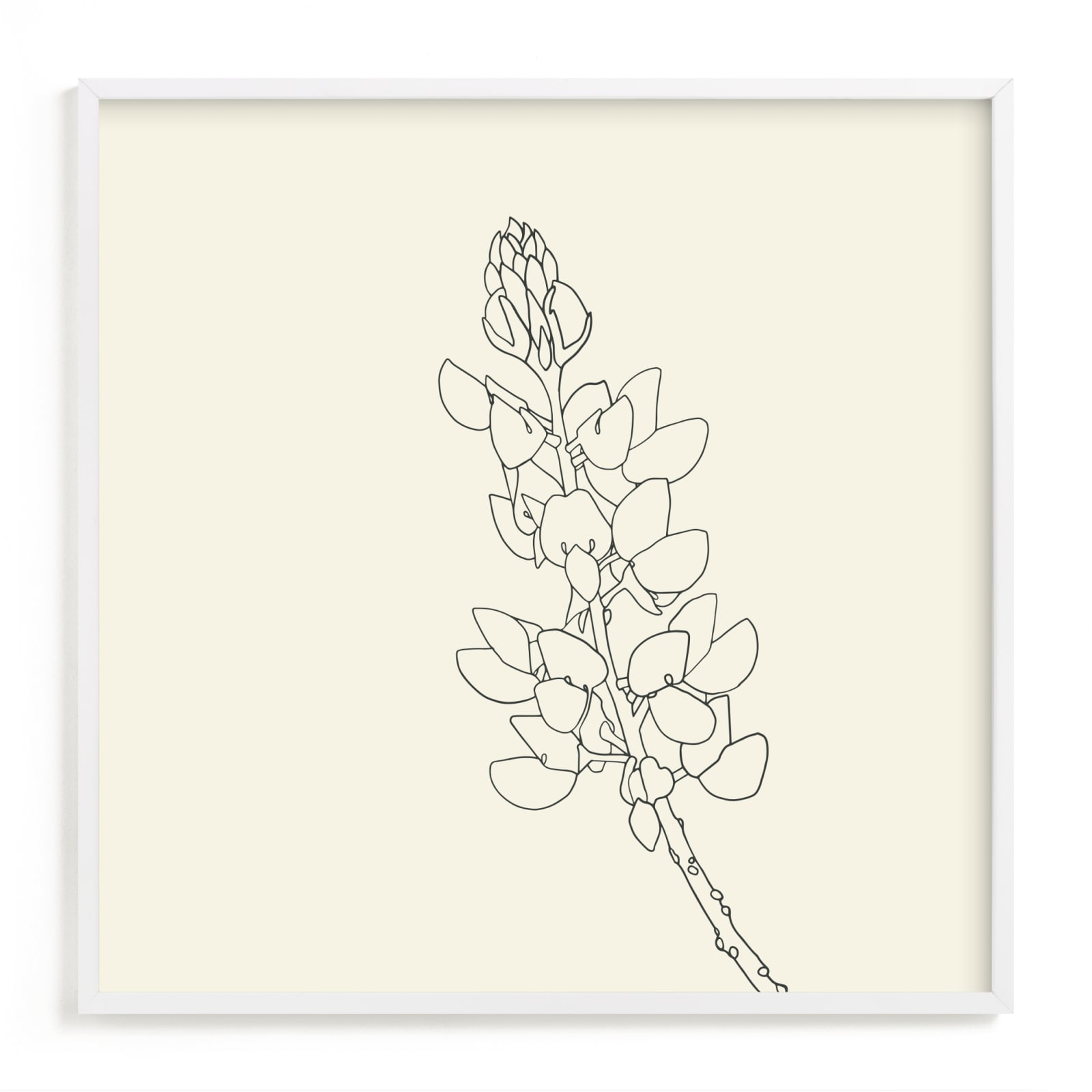 "Lupine" - Limited Edition Art Print by Jorey Hurley in beautiful frame options and a variety of sizes.
