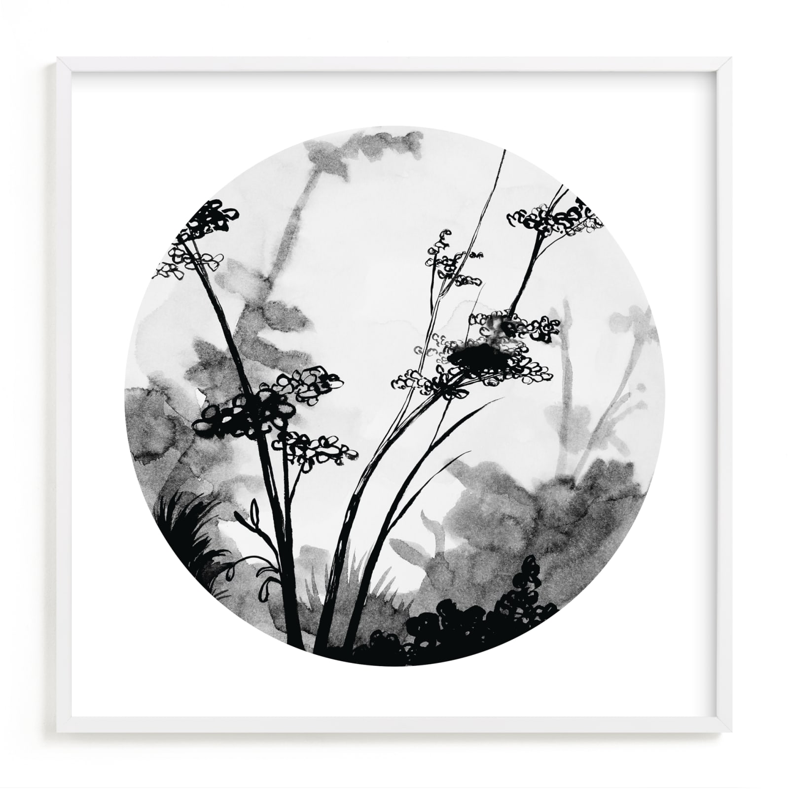 "Queen Anne's Lace" - Limited Edition Art Print by Lauren Matsumoto in beautiful frame options and a variety of sizes.