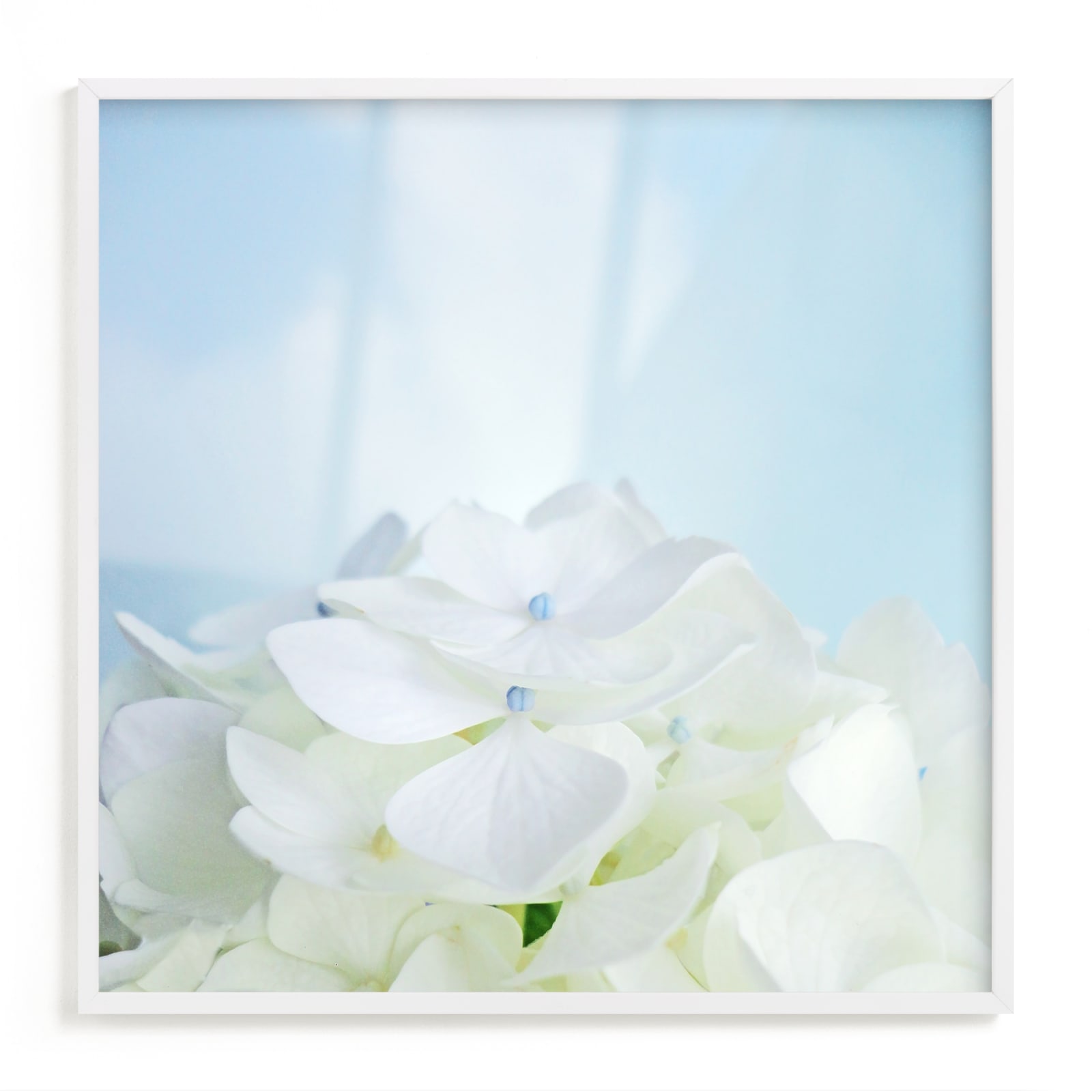 "Hydrangea Bouquet" - Art Print by Justine Elliott in beautiful frame options and a variety of sizes.