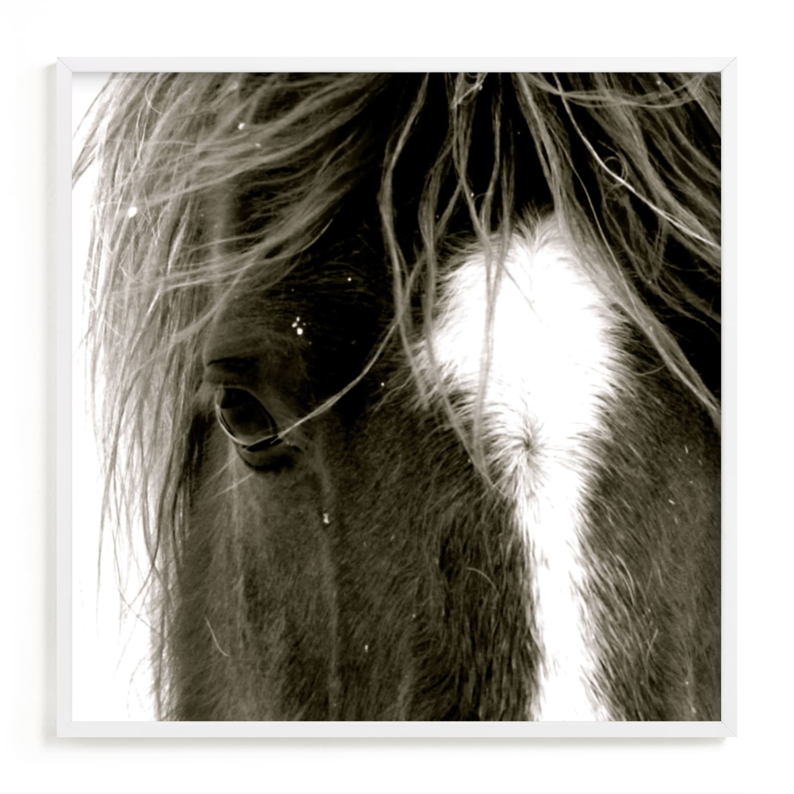 "Apache Jack" - Art Print by Leslie Le Coq in beautiful frame options and a variety of sizes.