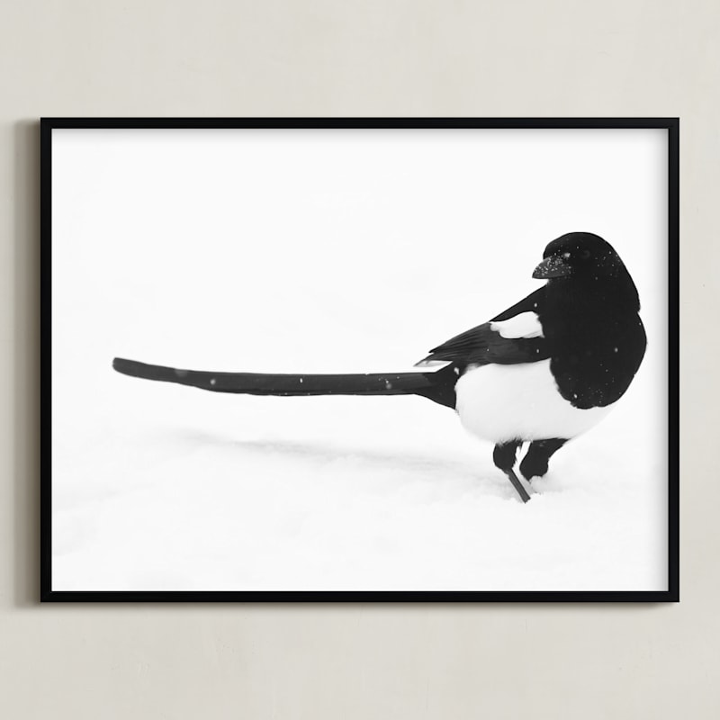 Magpie