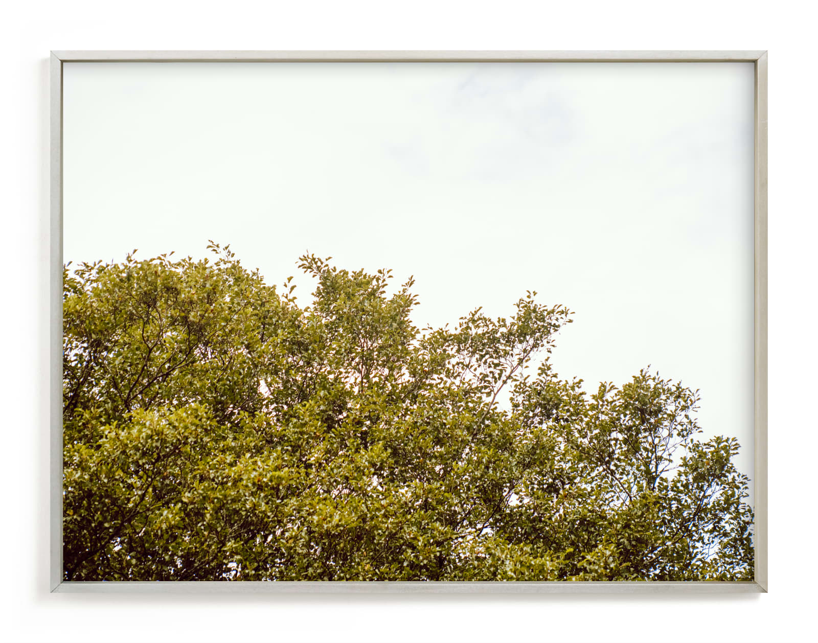 "Trees in the clouds II" by Lying on the grass in beautiful frame options and a variety of sizes.