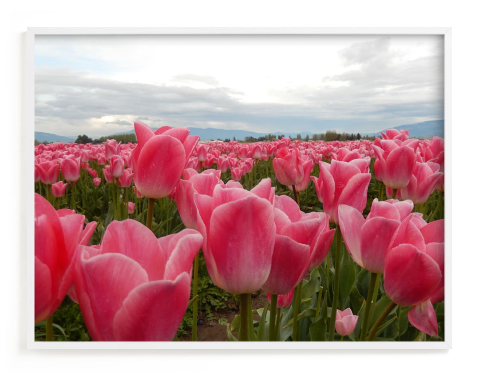 "Pink Heaven" - Art Print by Jan Kessel in beautiful frame options and a variety of sizes.