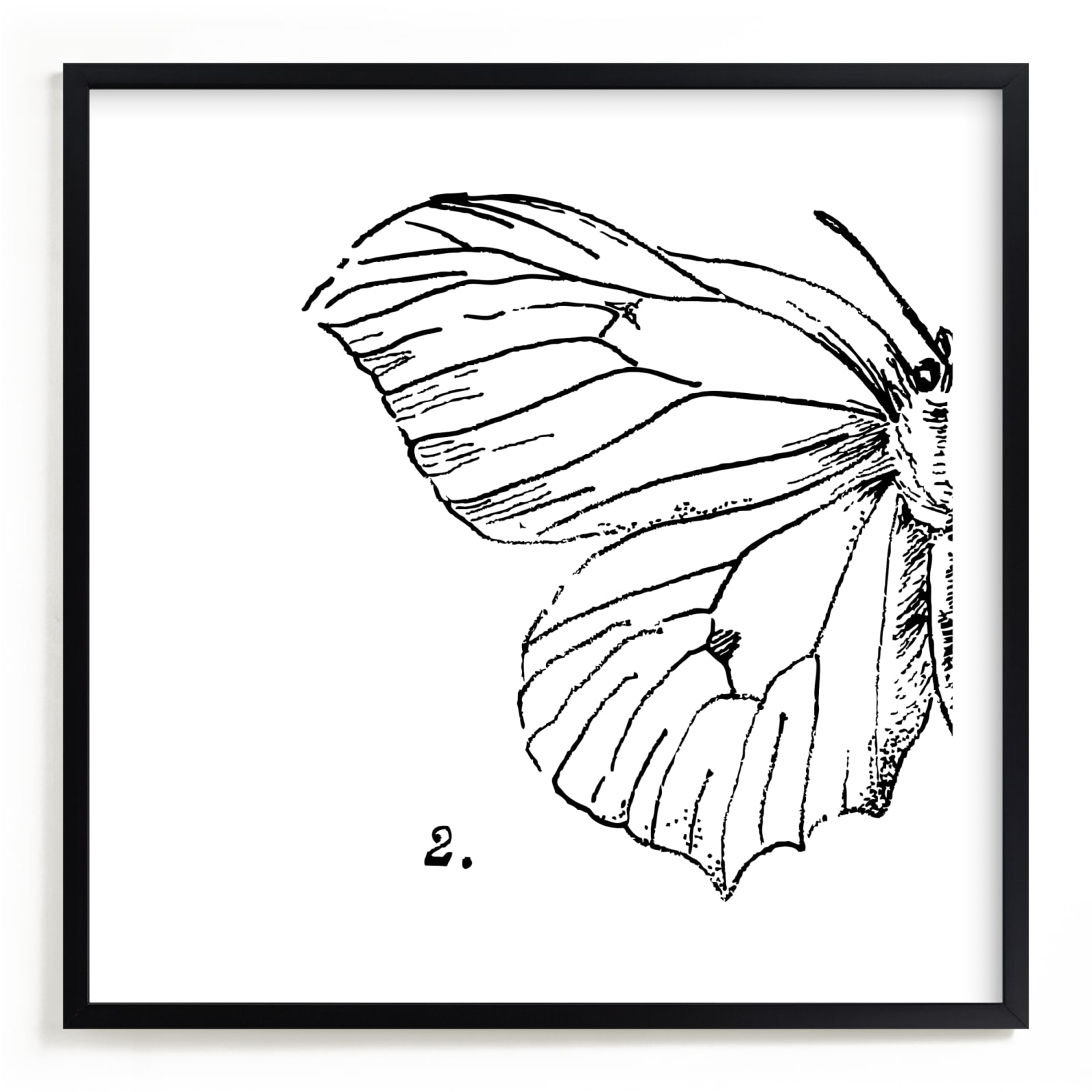 "Moth No. 2" - Limited Edition Art Print by Mere Paper in beautiful frame options and a variety of sizes.