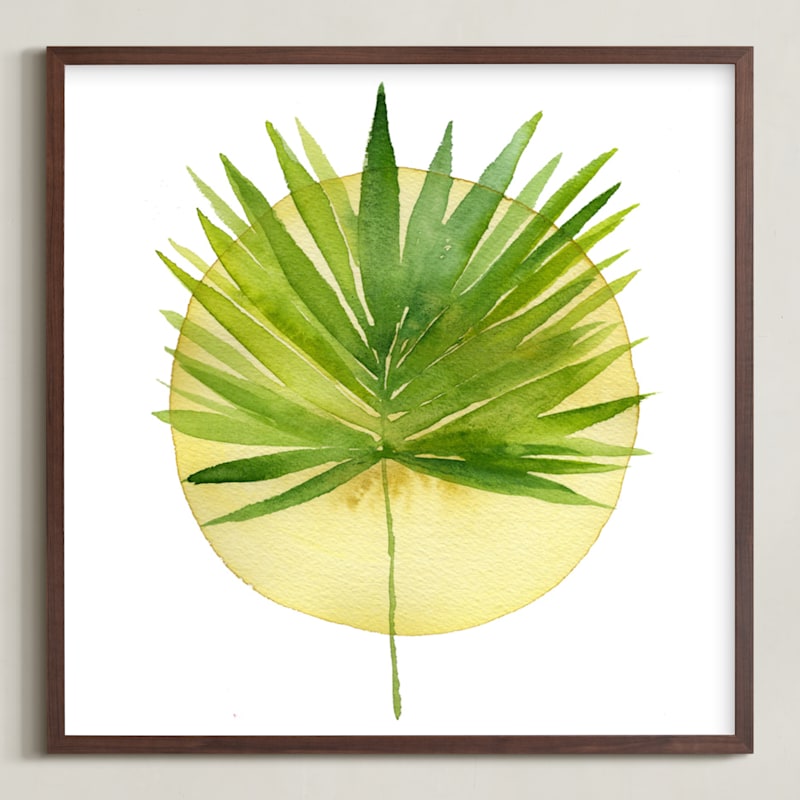 "spotlight - fan palm" - Art Print in palm frond by Kiana Lee - Framed