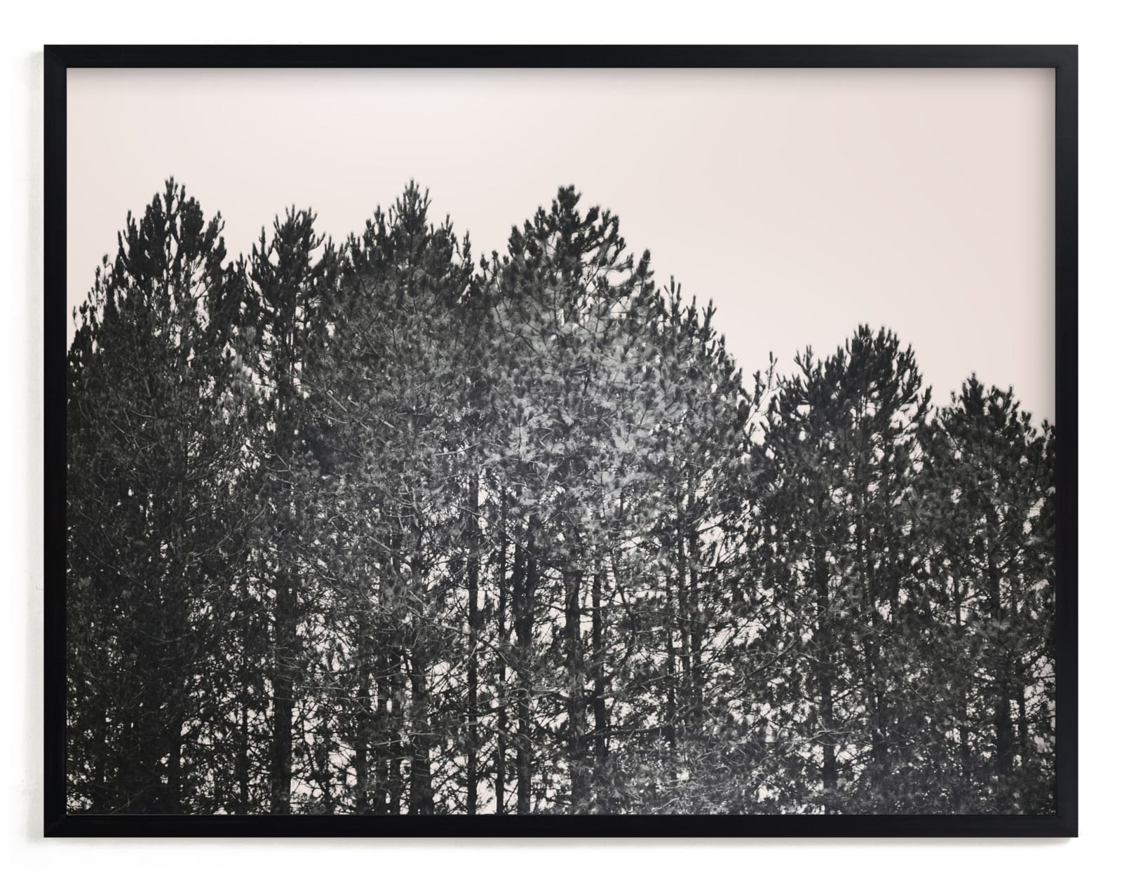 "Pines" - Limited Edition Art Print by Katie Short in beautiful frame options and a variety of sizes.
