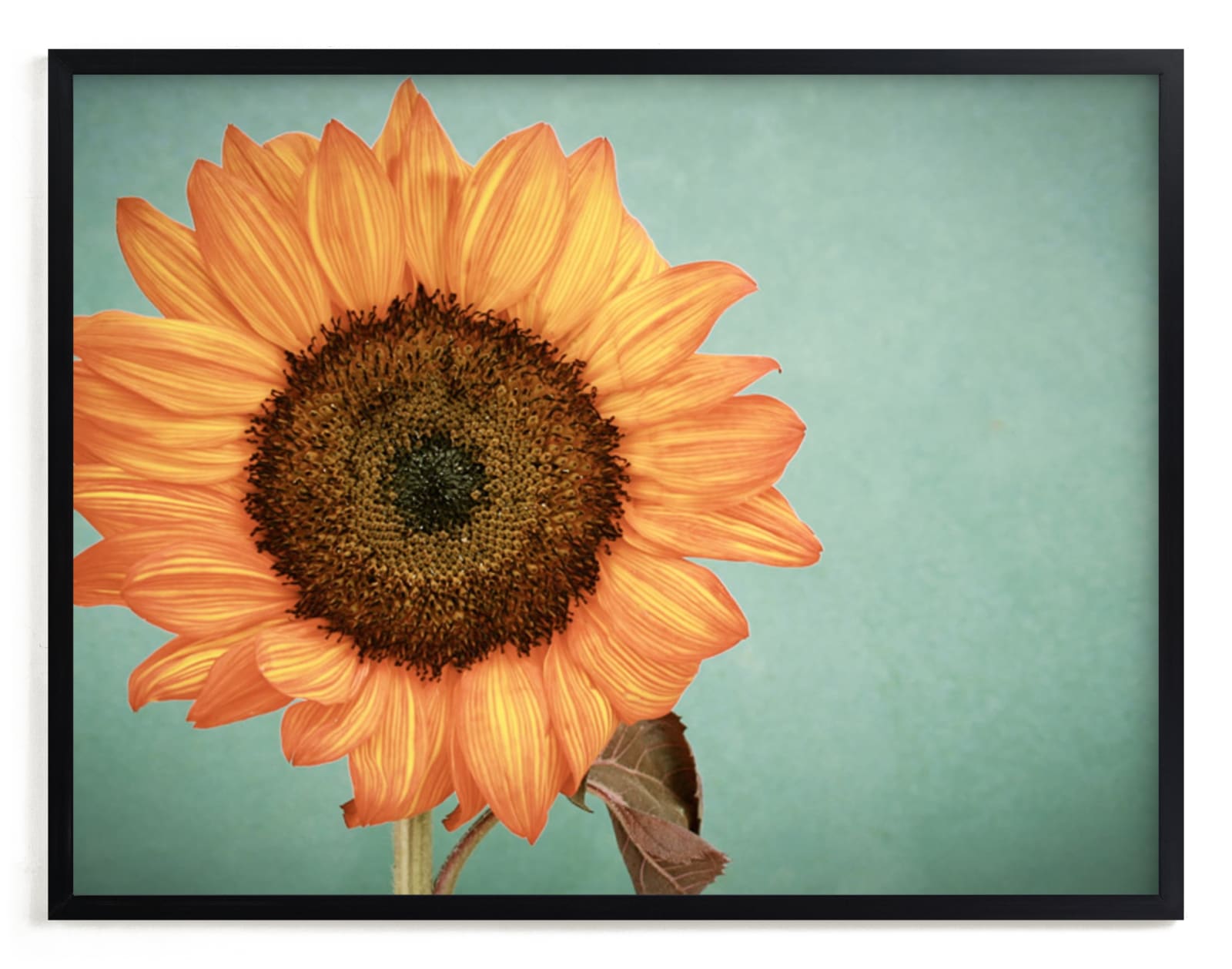 "Sunflower Power" - Art Print by Debra Butler in beautiful frame options and a variety of sizes.