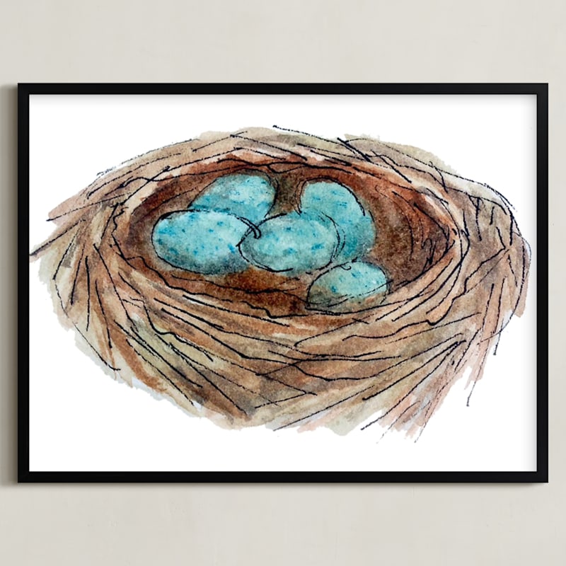 Bird's Nest