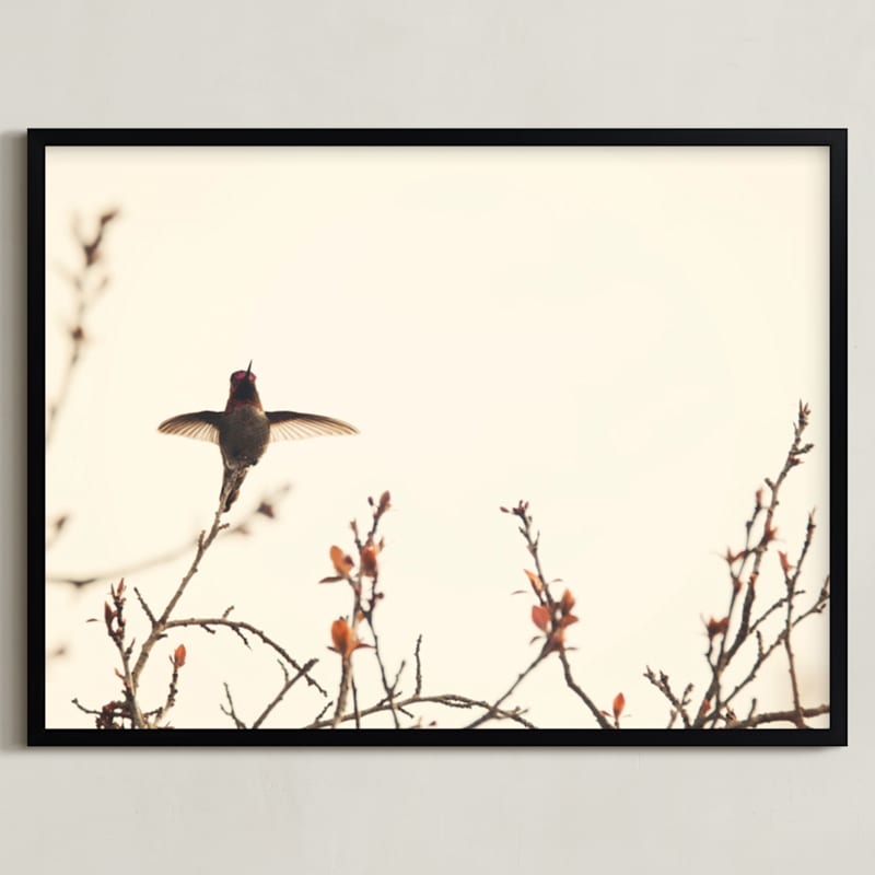 "Landing on Branches." - Art Print in Cream and Rust by Jennifer Alexander - Framed