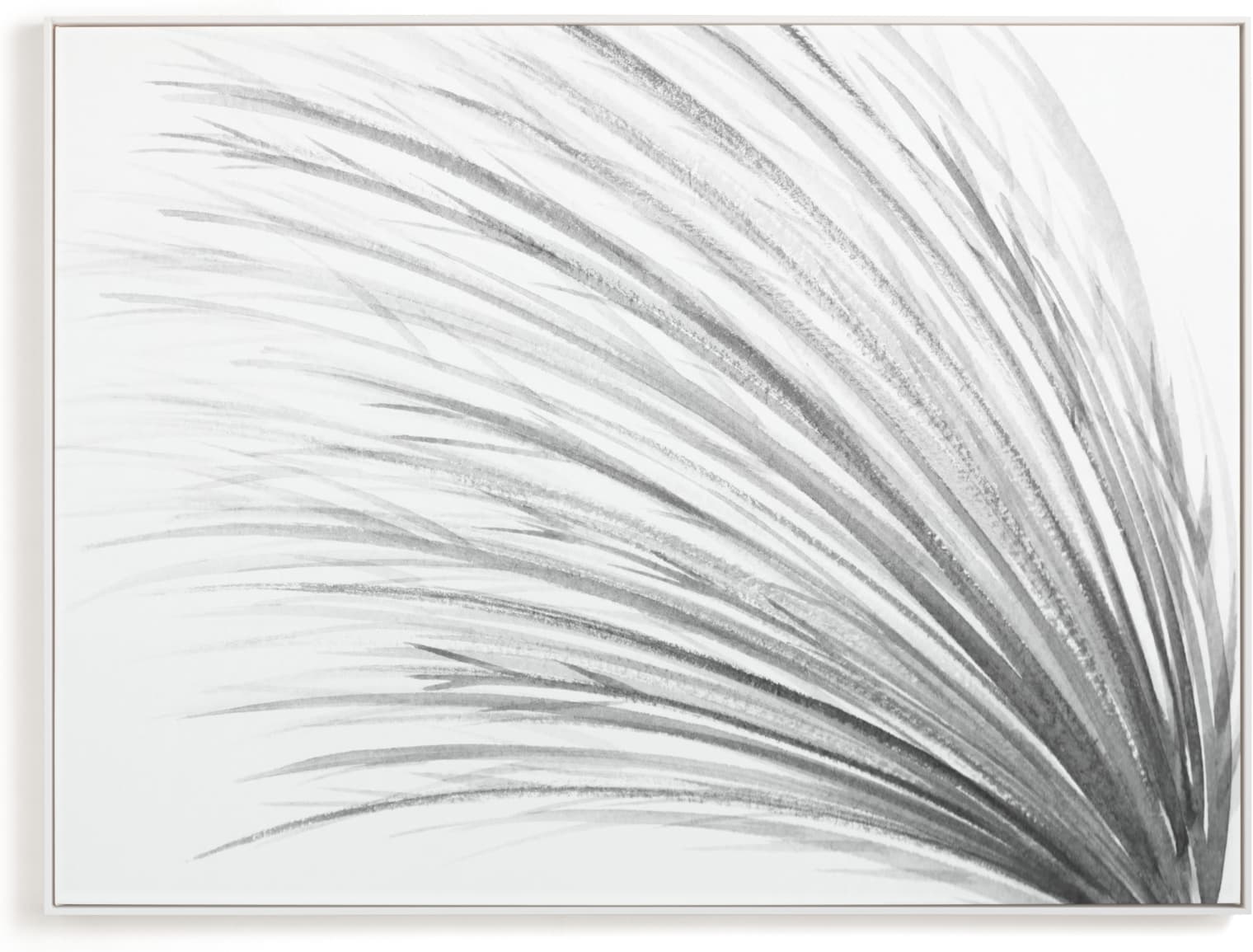 This is a black and white art by Loree Mayer called Tall Grass Watercolor.