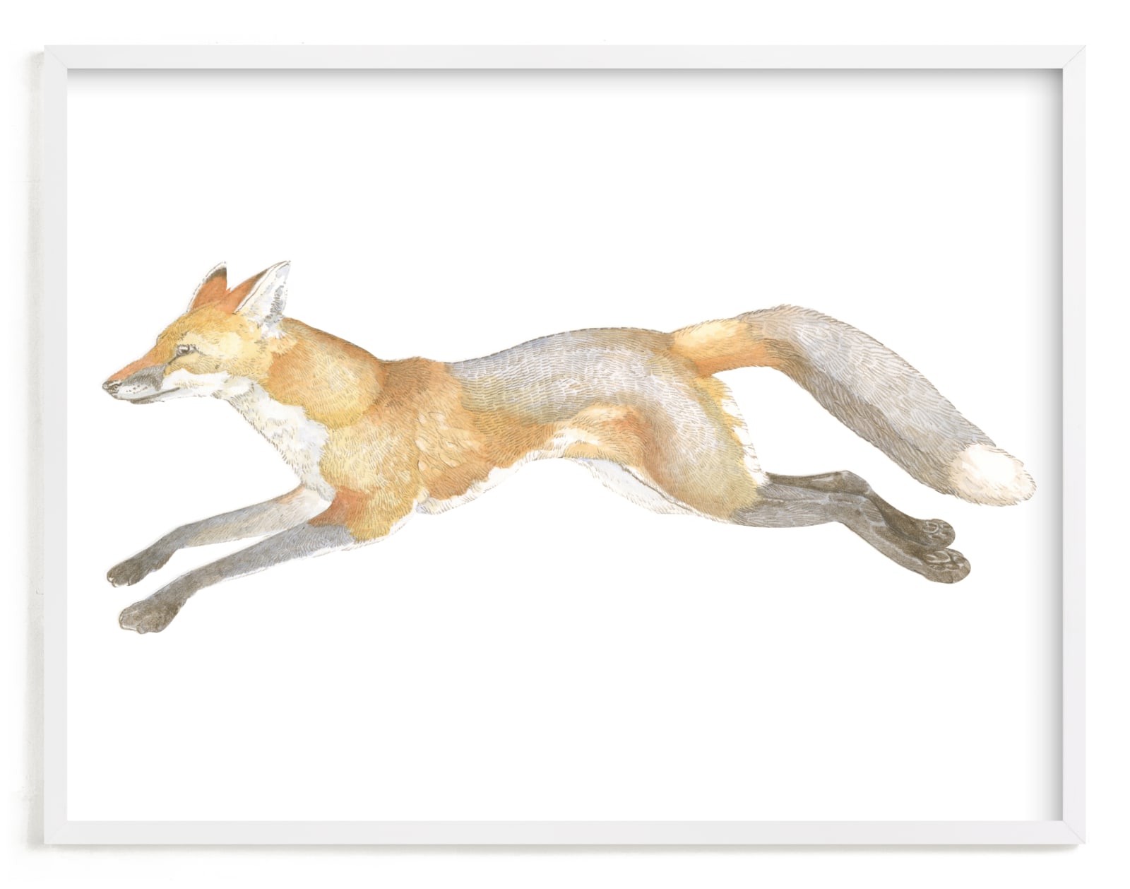 "Swift Fox" - Limited Edition Art Print by Natalie Groves in beautiful frame options and a variety of sizes.