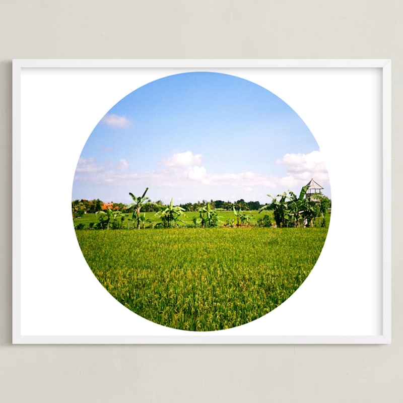 A World of Rice