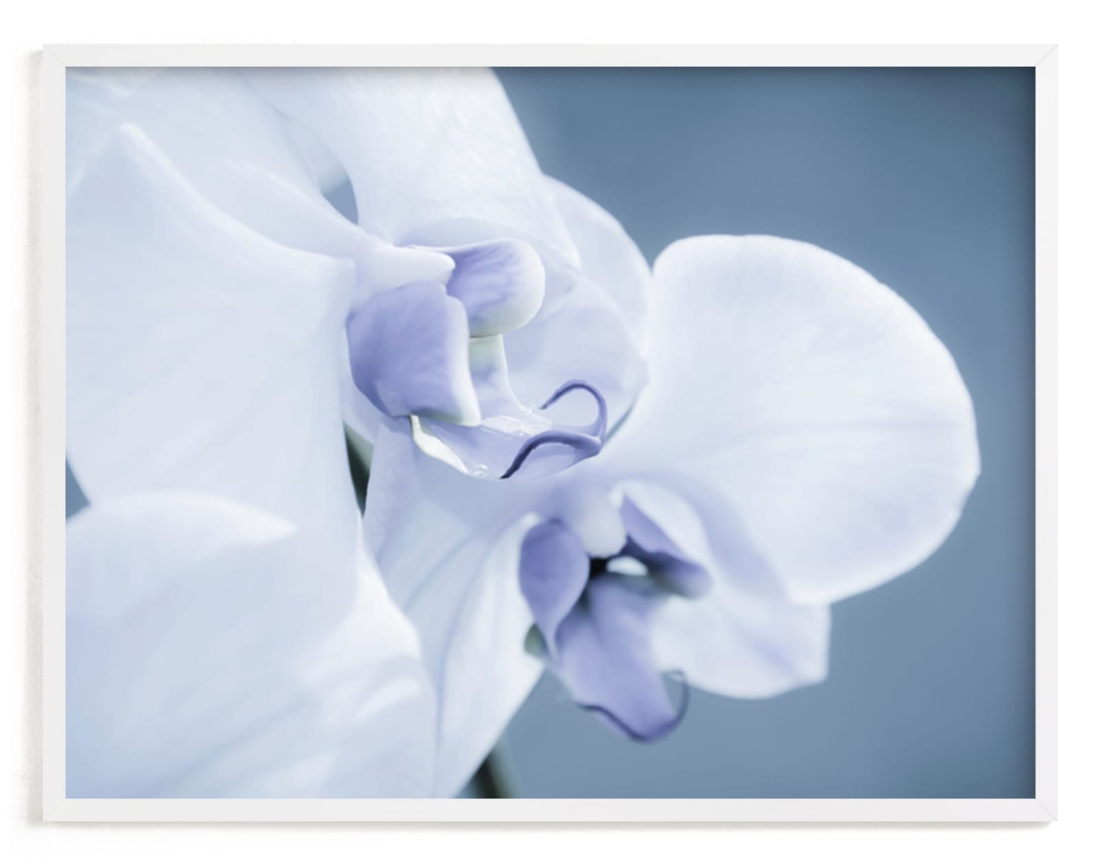 "Orchid Beauty" - Art Print by Debra Butler in beautiful frame options and a variety of sizes.