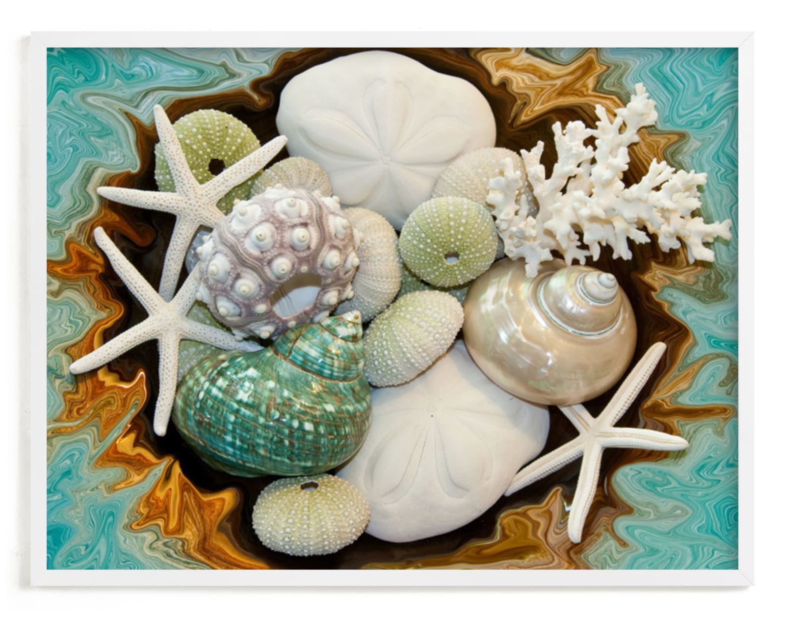 "Sea Shell Swirls" - Art Print by Debra Butler in beautiful frame options and a variety of sizes.