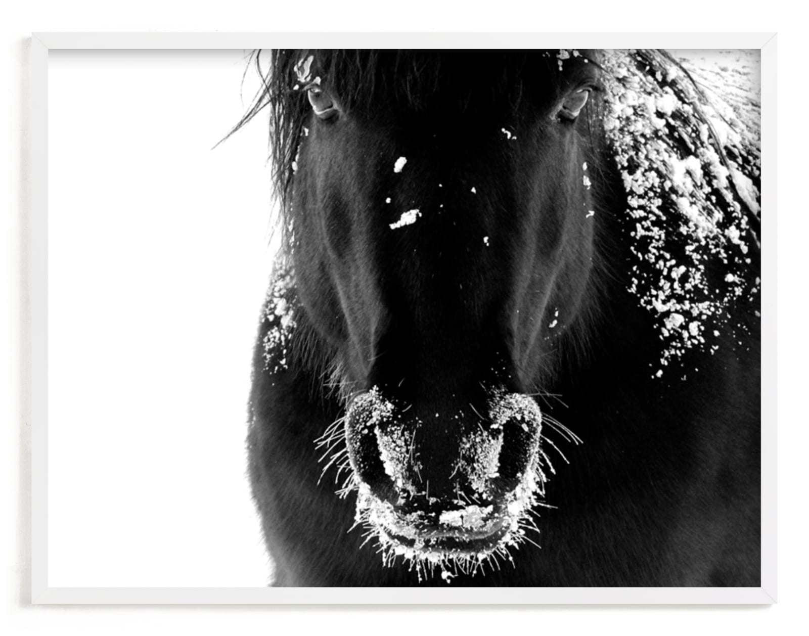 "Frost Bite" - Art Print by Leslie Le Coq in beautiful frame options and a variety of sizes.