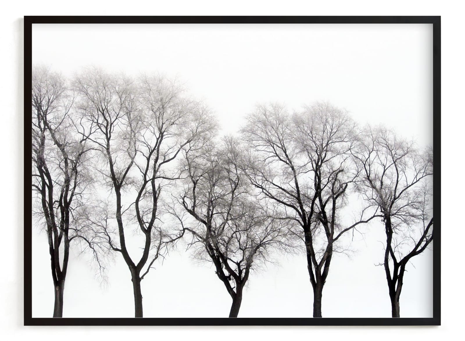 "abstract trees" - Limited Edition Art Print by Baumbirdy in beautiful frame options and a variety of sizes.