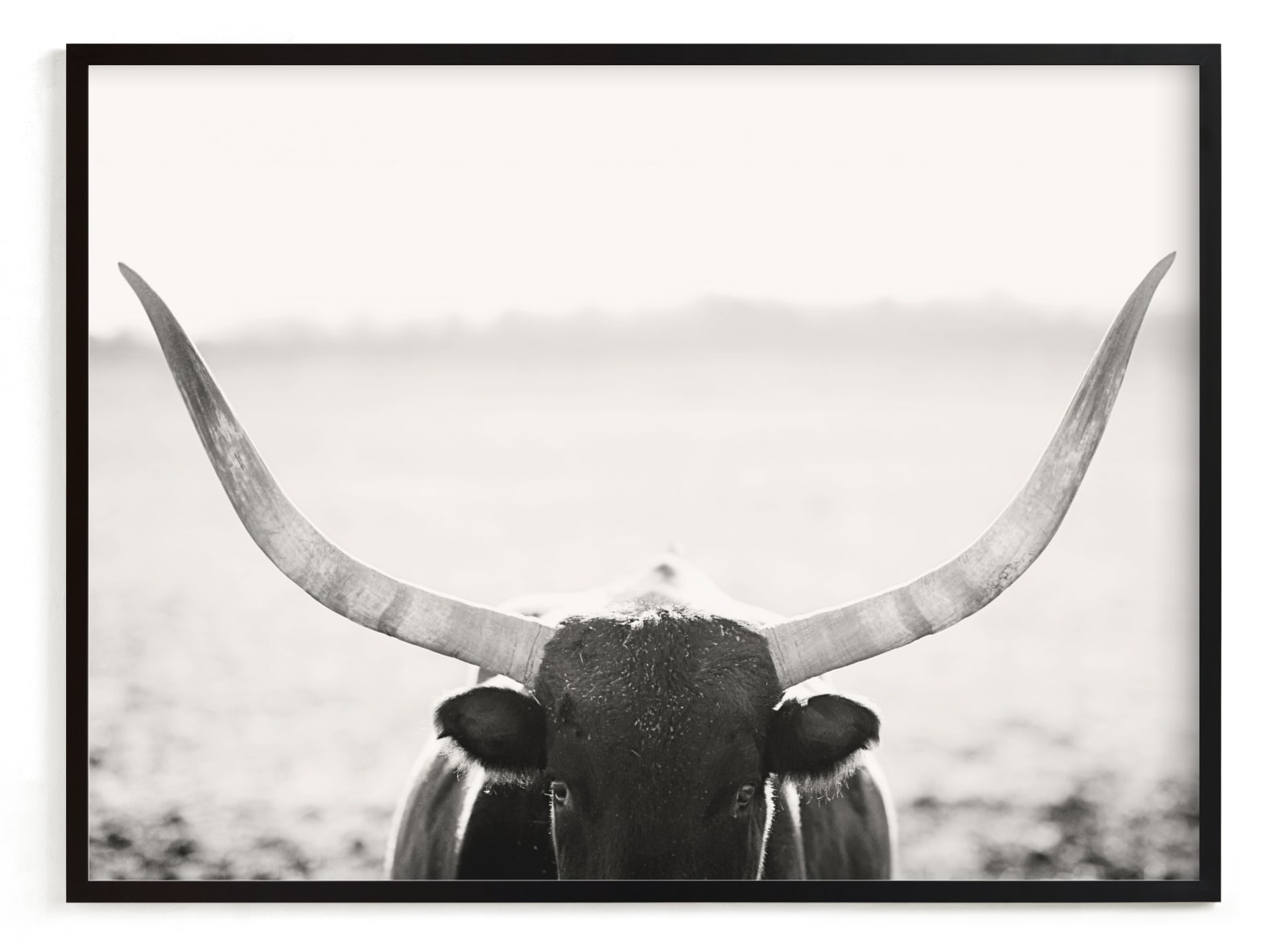 "Staredown" - Limited Edition Art Print by Amy Carroll in beautiful frame options and a variety of sizes.