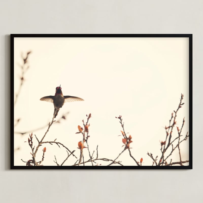 "Landing on Branches." - Art Print in Cream and Rust by Jennifer Alexander - Framed