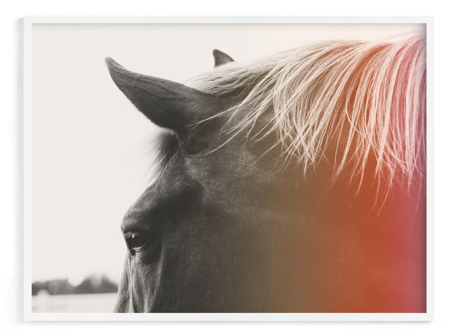 "Pink Pony" - Open Edition Fine Art Print by ALICIA BOCK in beautiful frame options and a variety of sizes.