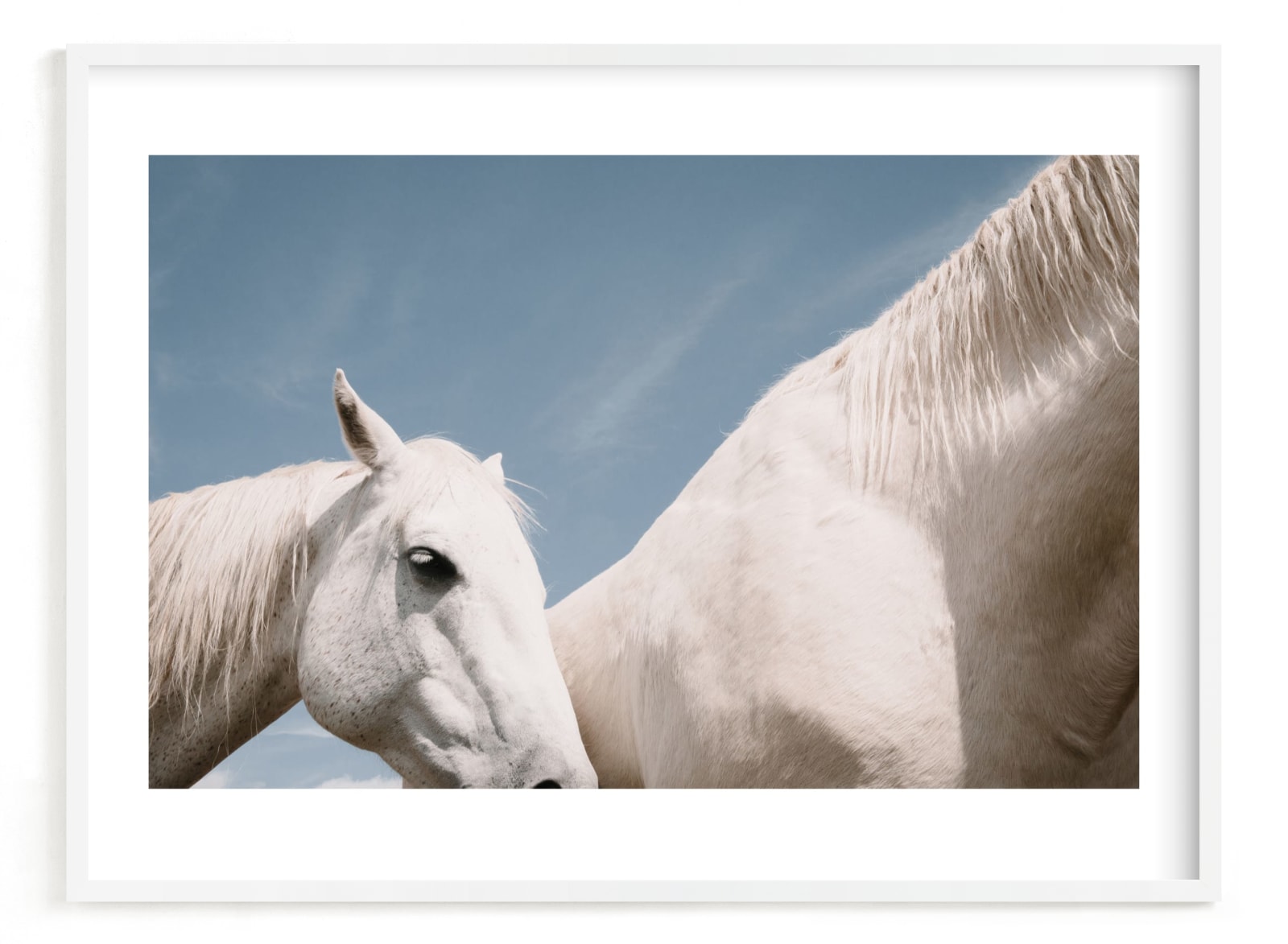 "friend" - Limited Edition Art Print by Sara Hicks Malone in beautiful frame options and a variety of sizes.