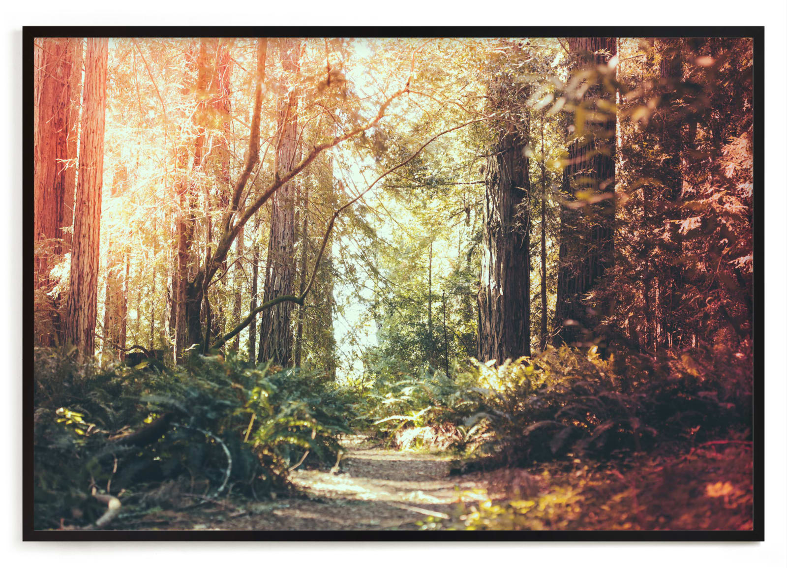 "Redwoods Path" - Limited Edition Art Print by Elena Kulikova in beautiful frame options and a variety of sizes.