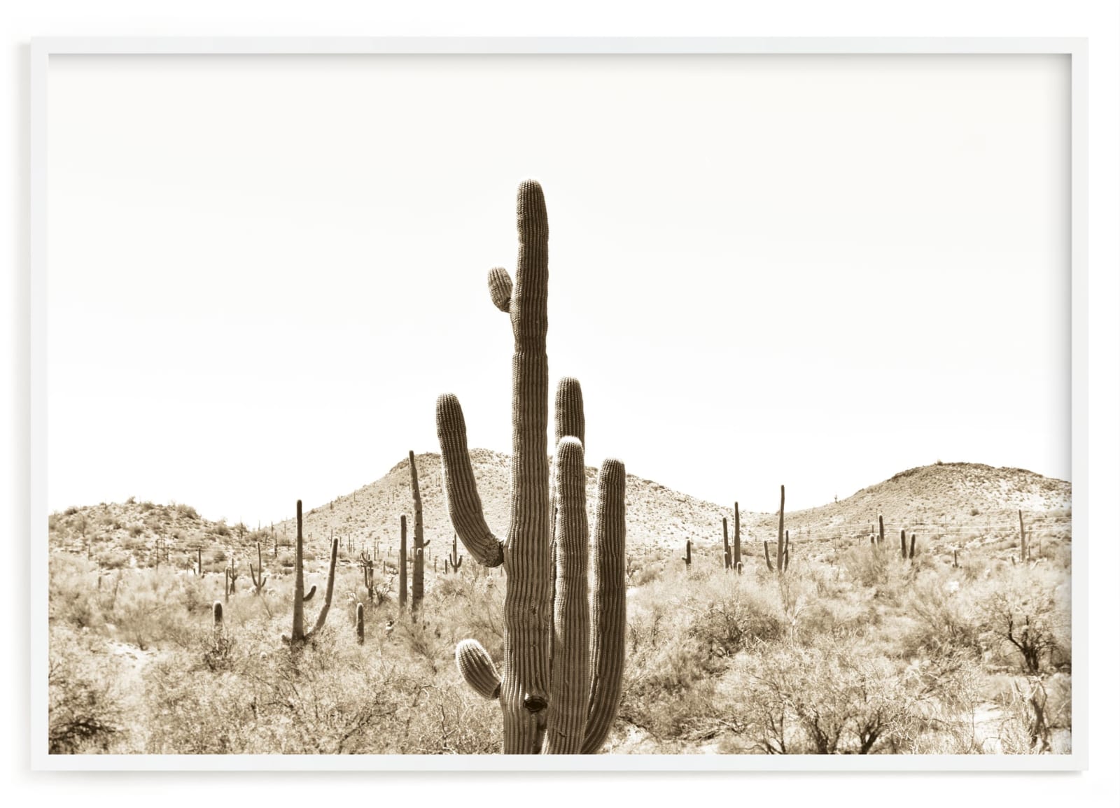 "Cacti V" - Limited Edition Art Print by Lisa Assenmacher in beautiful frame options and a variety of sizes.
