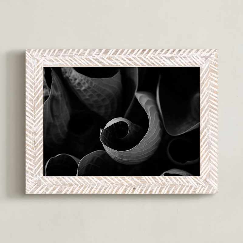 "Twists and Turns in Black and White" by Alexis Arnold in beautiful frame options and a variety of sizes.