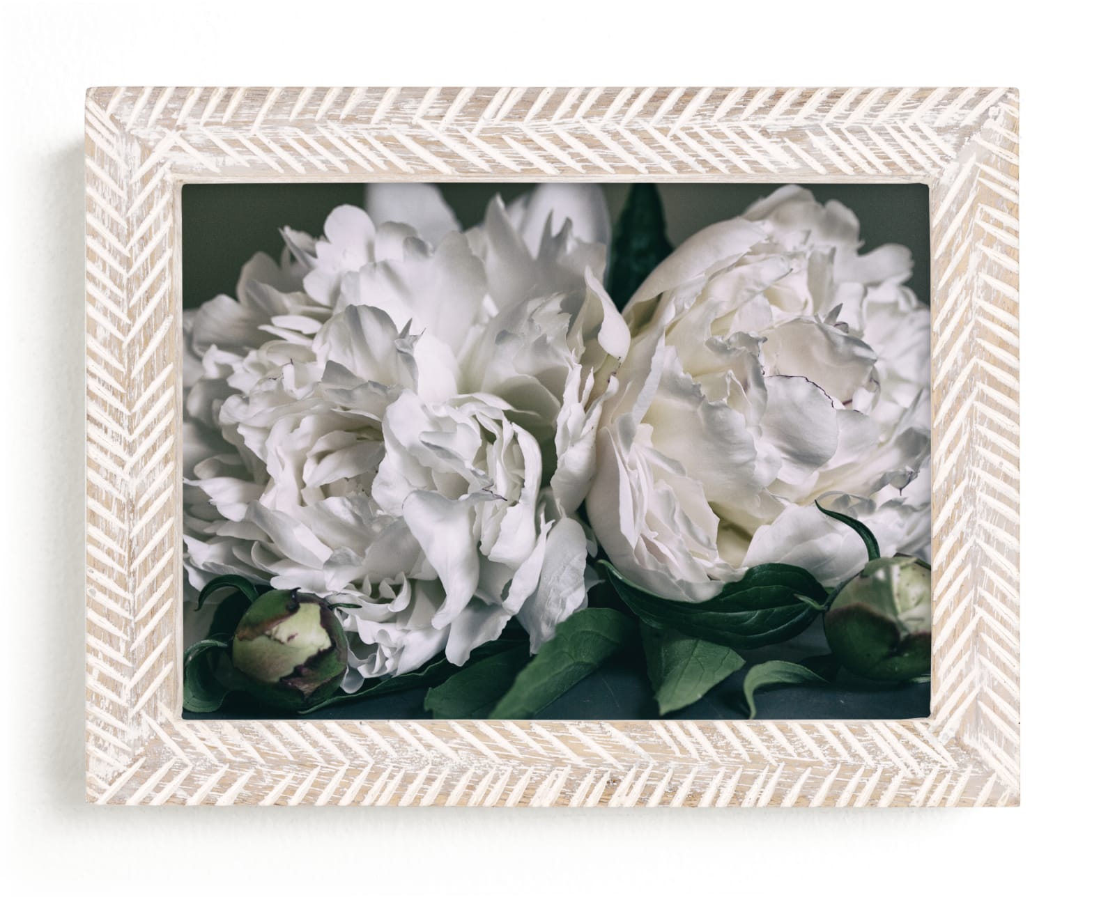 "Two White Peonies" by Alexis Arnold in beautiful frame options and a variety of sizes.
