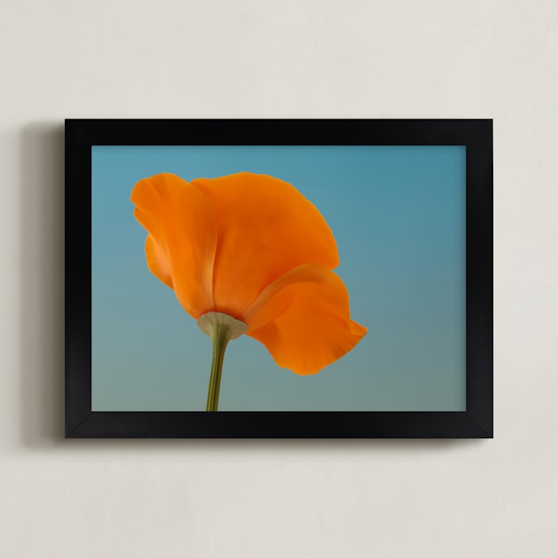 "California Poppy" - Limited Edition Art Print by Elena Kulikova in beautiful frame options and a variety of sizes.