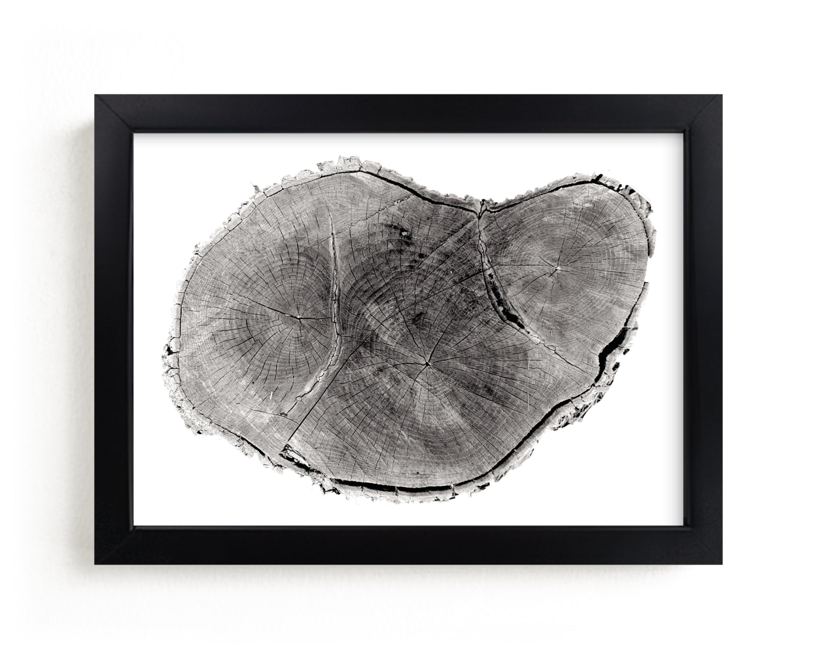 "Tree Rings pt. 1" - Limited Edition Art Print by Mackenzie Darrach in beautiful frame options and a variety of sizes.