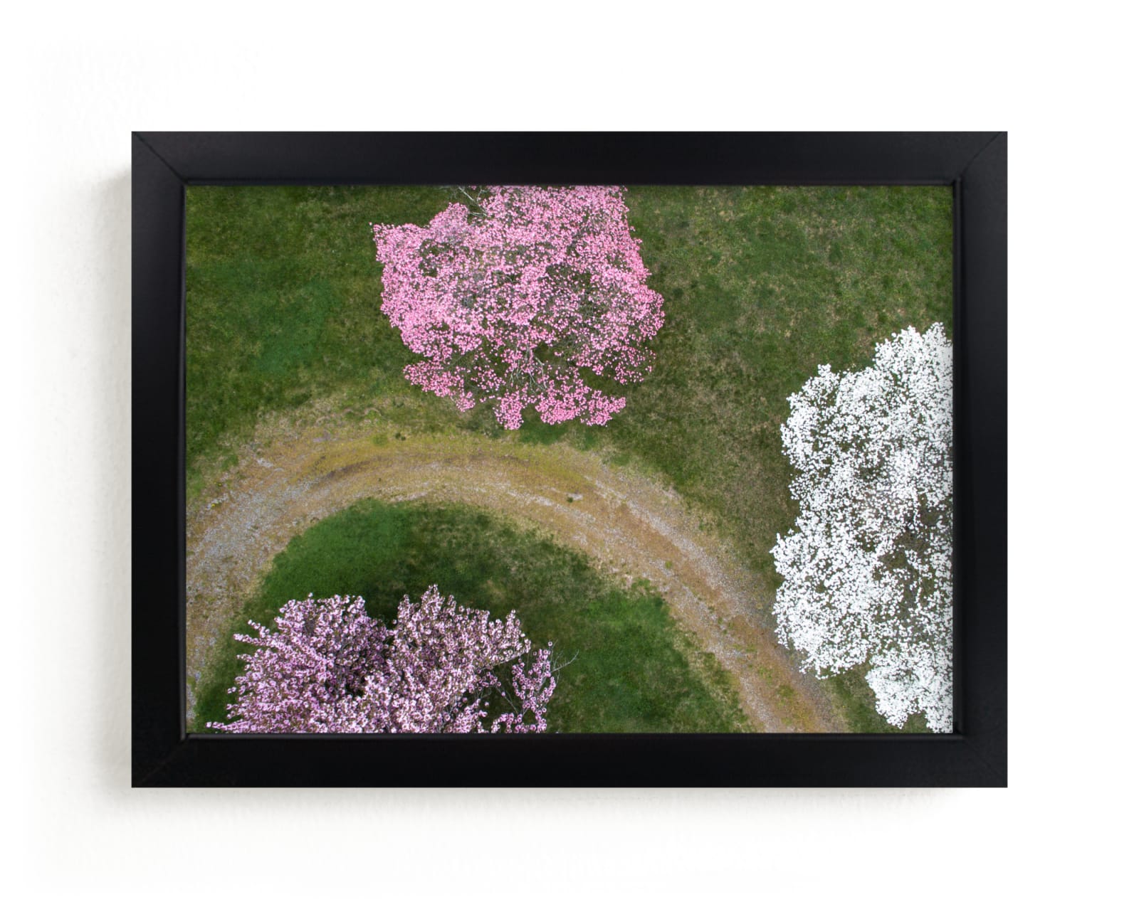 "Dogwood Lane" - Limited Edition Art Print by Owl and Toad in beautiful frame options and a variety of sizes.