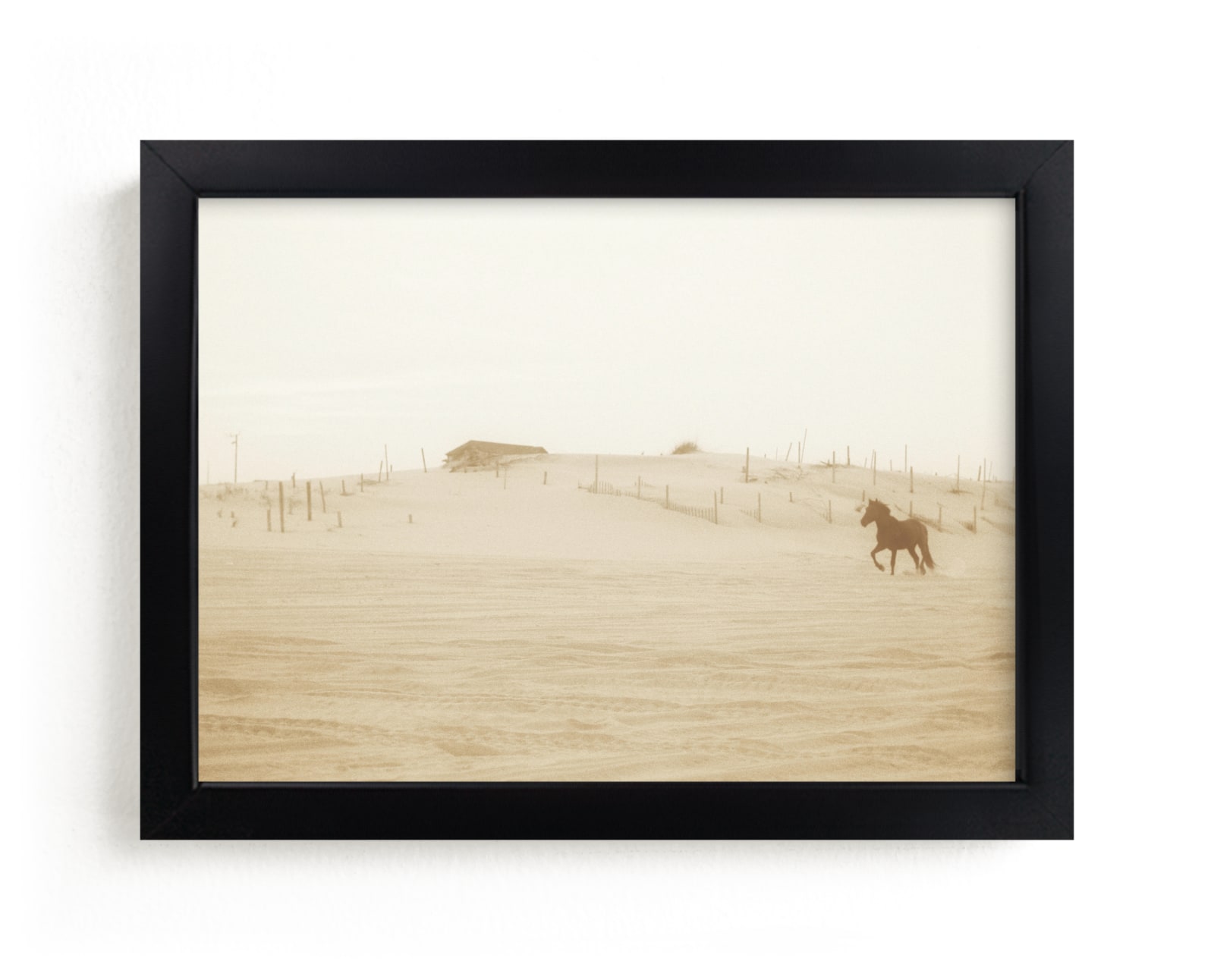 "Wild and Free" - Limited Edition Art Print by Robin Ott in beautiful frame options and a variety of sizes.